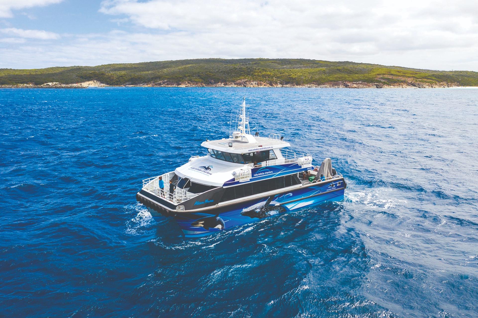Whale Watching Tours from Perth & Margaret River - Thumbnail 7