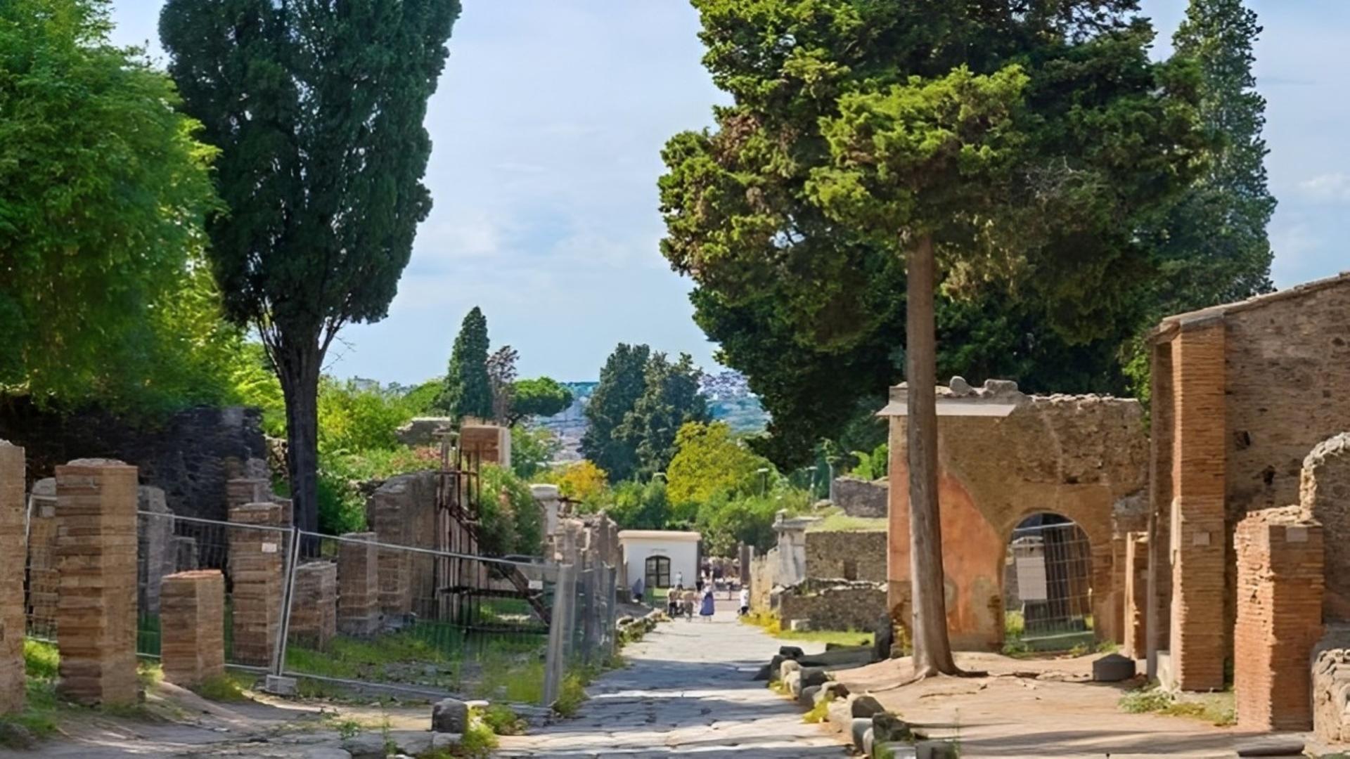 Pompeii Full-Day Tour from Rome by High-Speed Train - Thumbnail 3