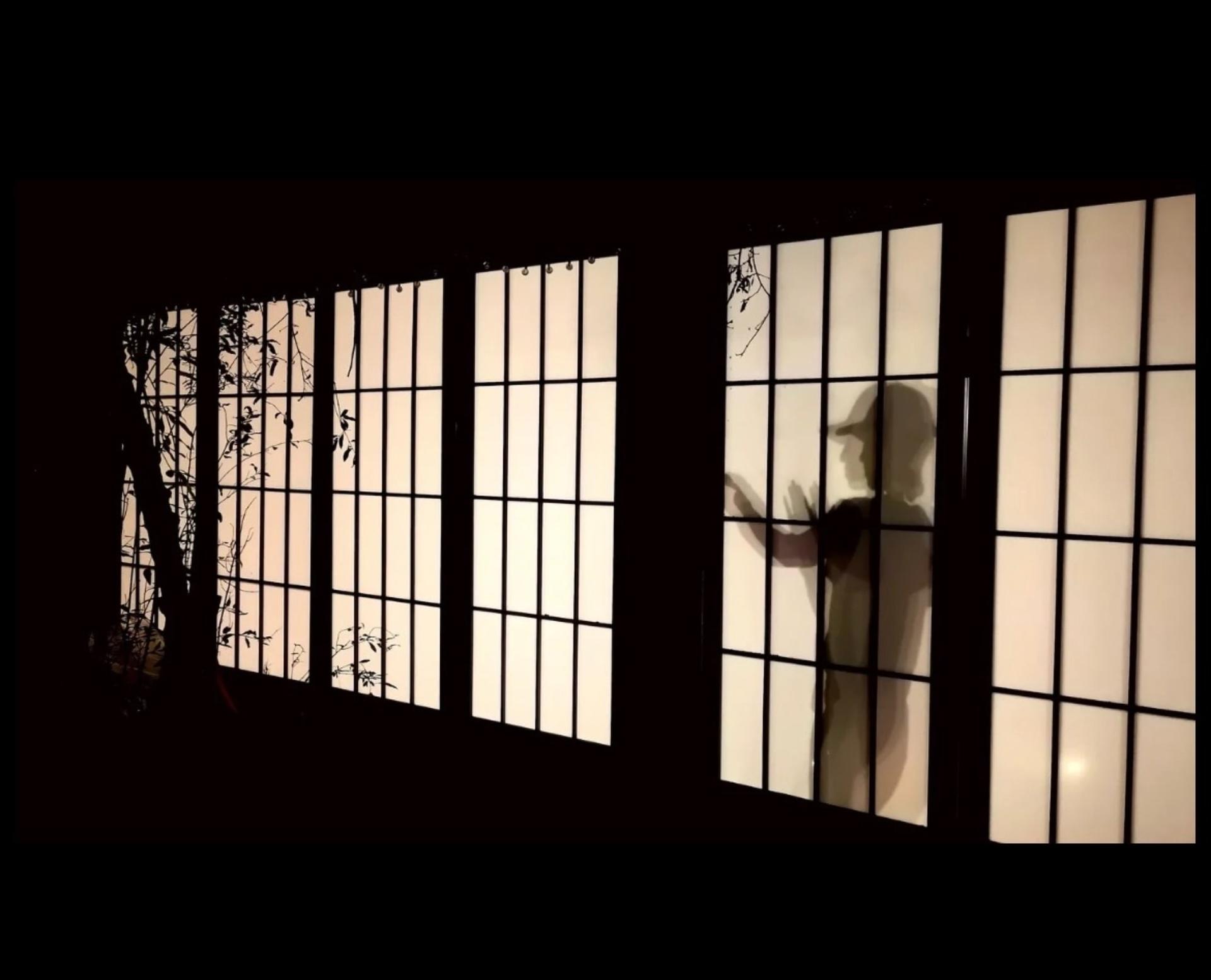 Wing Chun Experience: Discover the Art of Inner Power and Precision  - Thumbnail 3