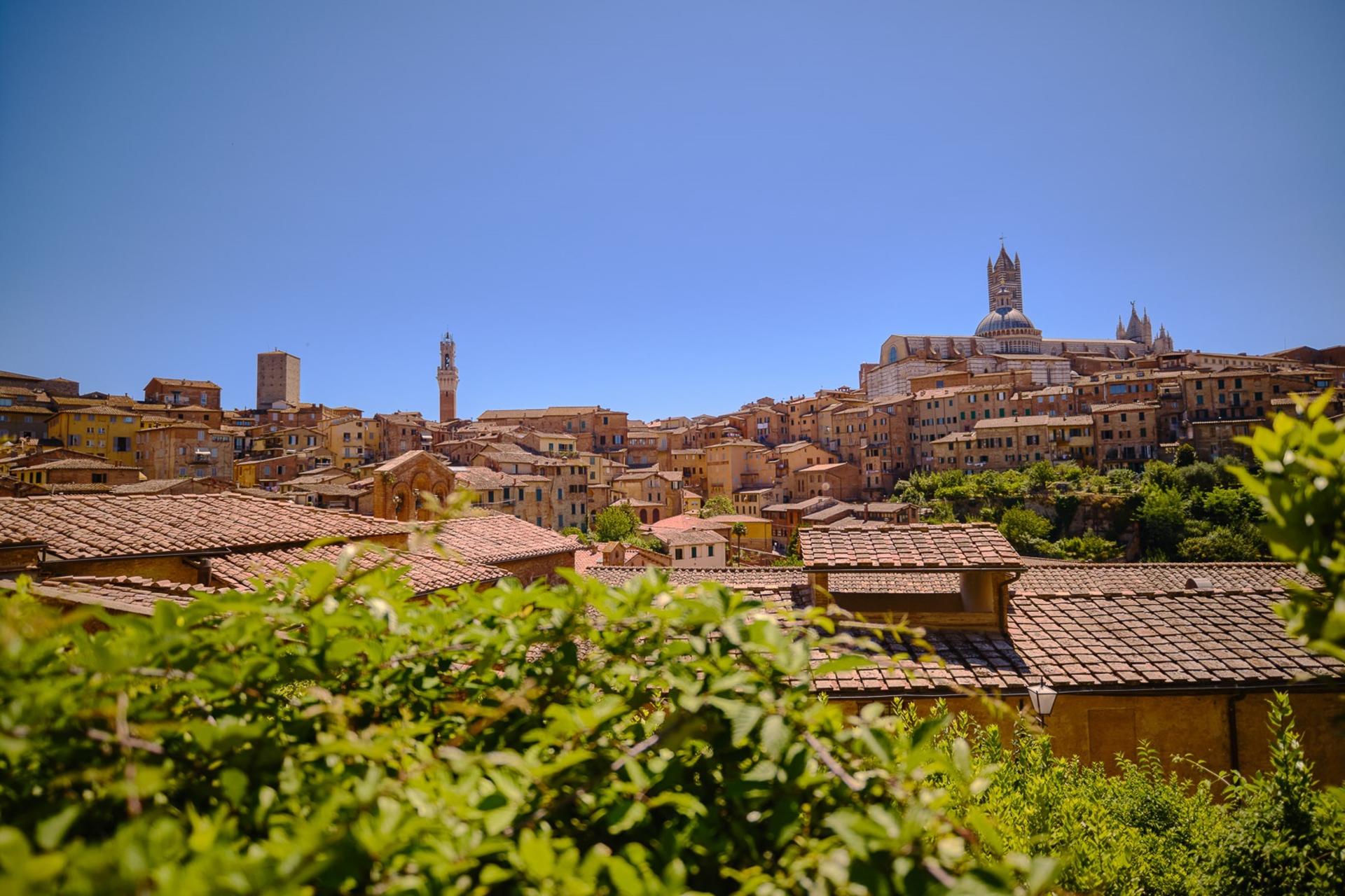 Siena, San Gimignano, Monteriggioni, and Chianti Wine Tasting Tour - Thumbnail 12
