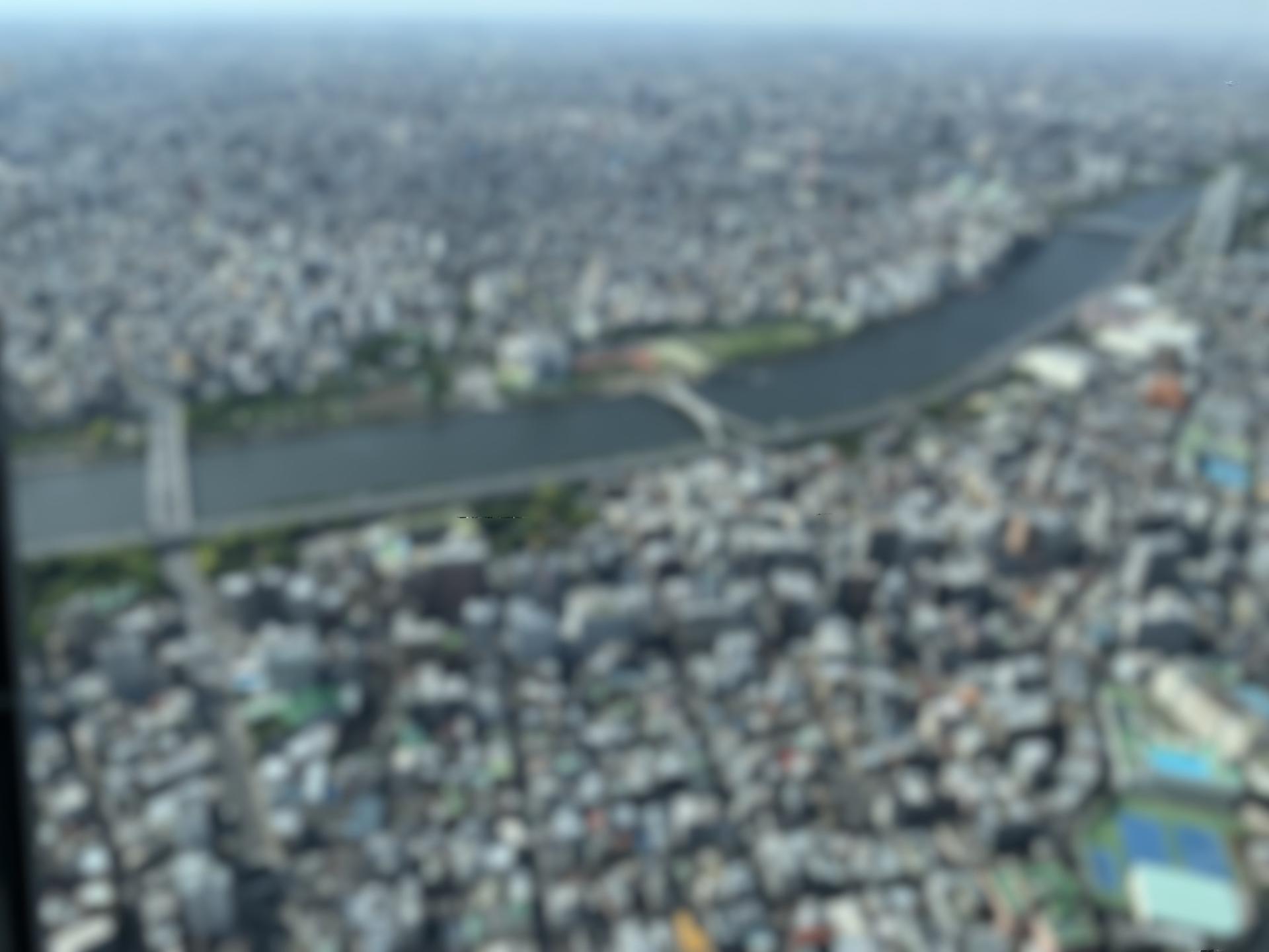 Tokyo: Skytree and Asakusa History Exploration - Thumbnail 16