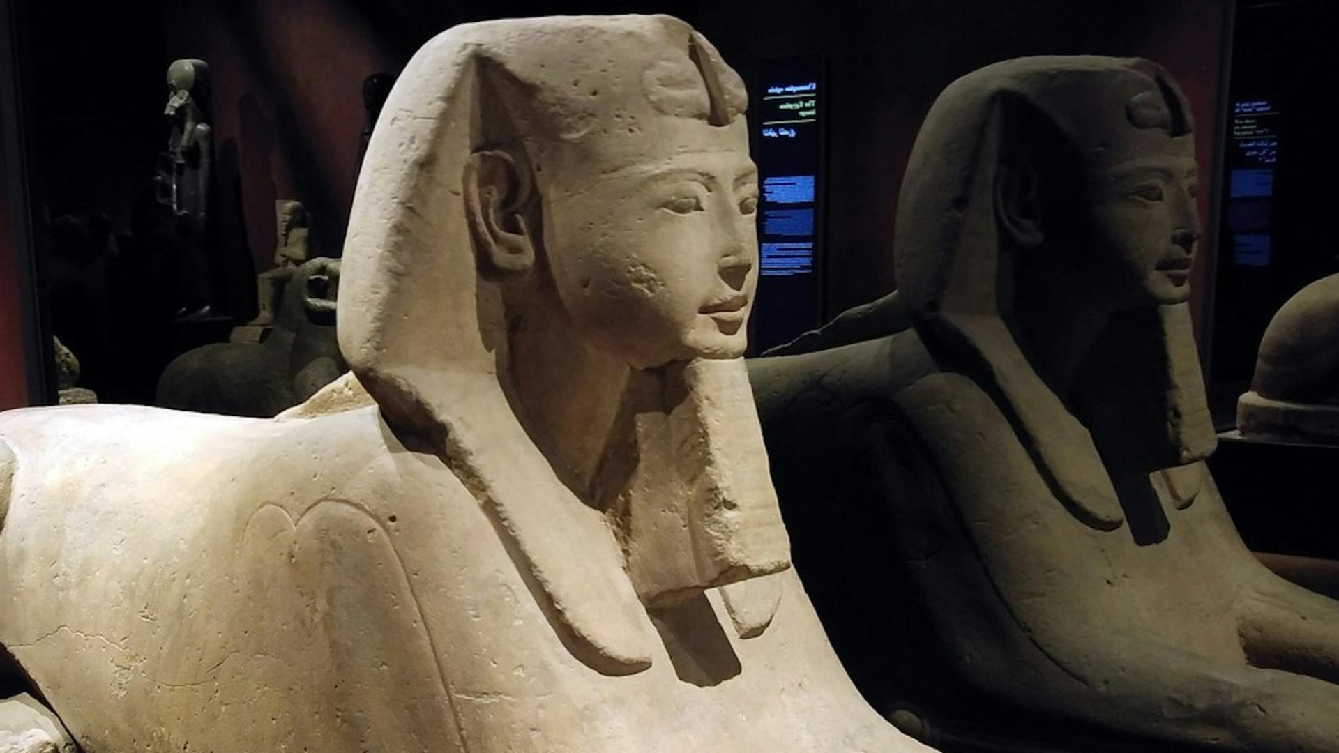 Egyptian Museum Turin Tour - Image 1