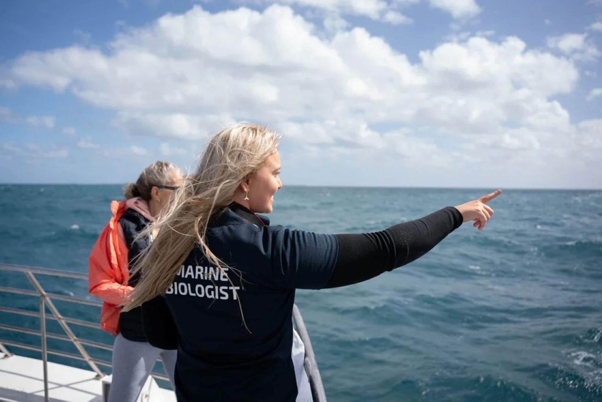 Whale Watching Experience from Perth - Thumbnail 4