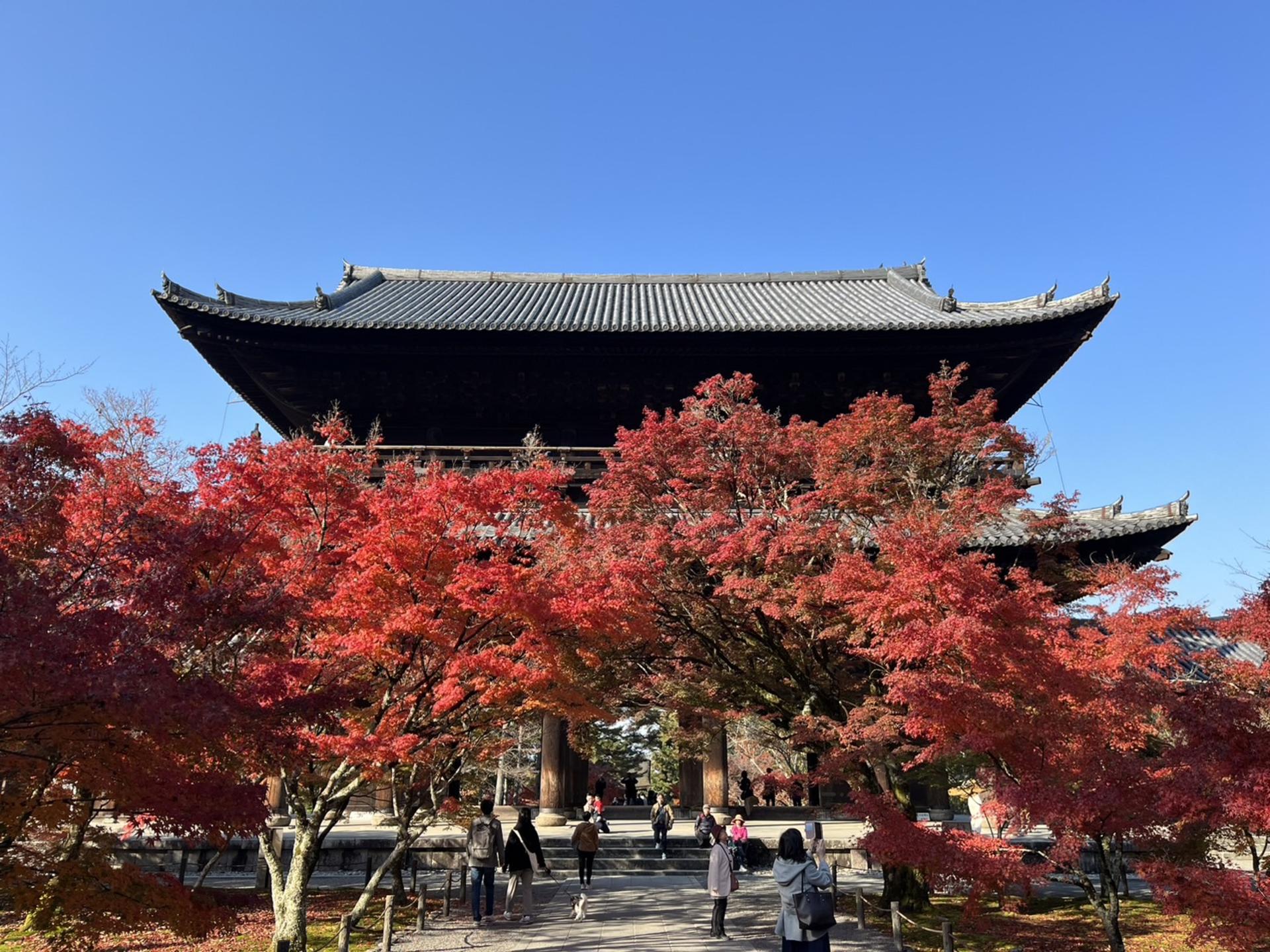 Kyoto: Heian Shrine & Nanzenji Temple Rickshaw Tour - Thumbnail 5