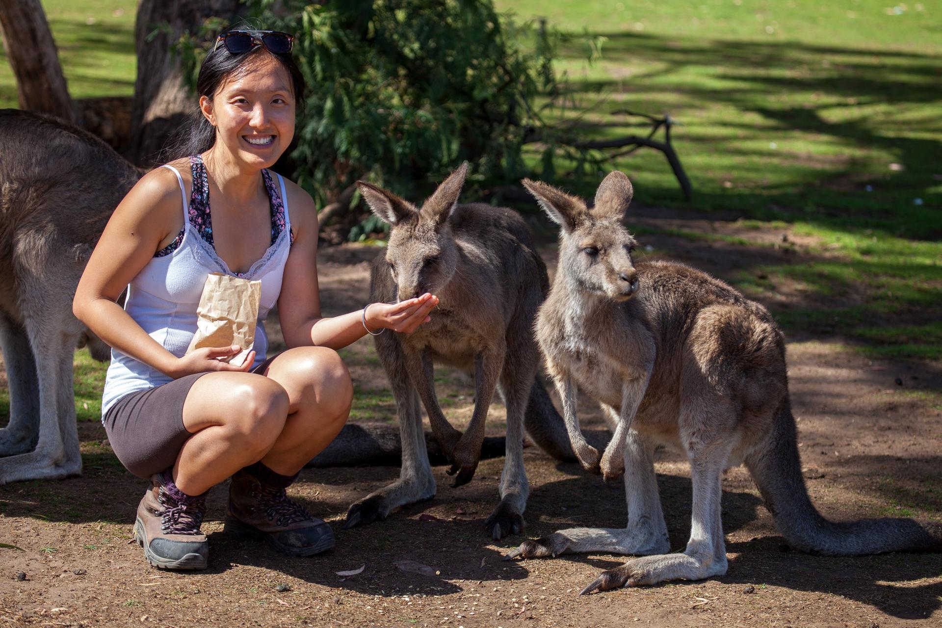 Mt Field National Park, Bonorong Wildlife & Mt. Wellington summit - Thumbnail 8