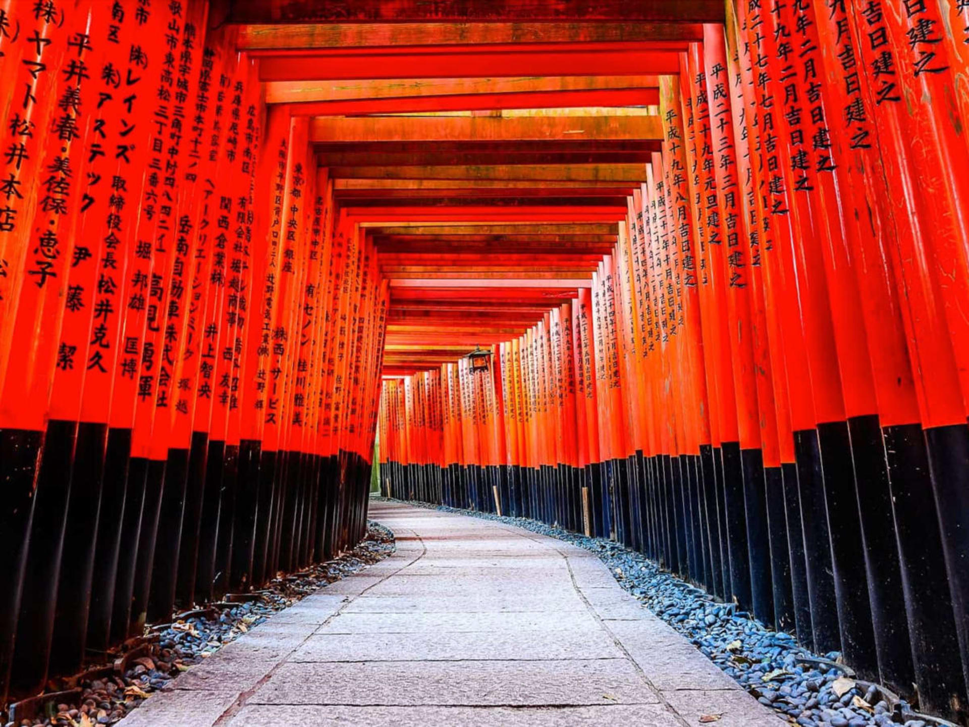 [Tasty Tours Japan]Kyoto Like a Local: Private Walking & E-Bike Tour - Thumbnail 14
