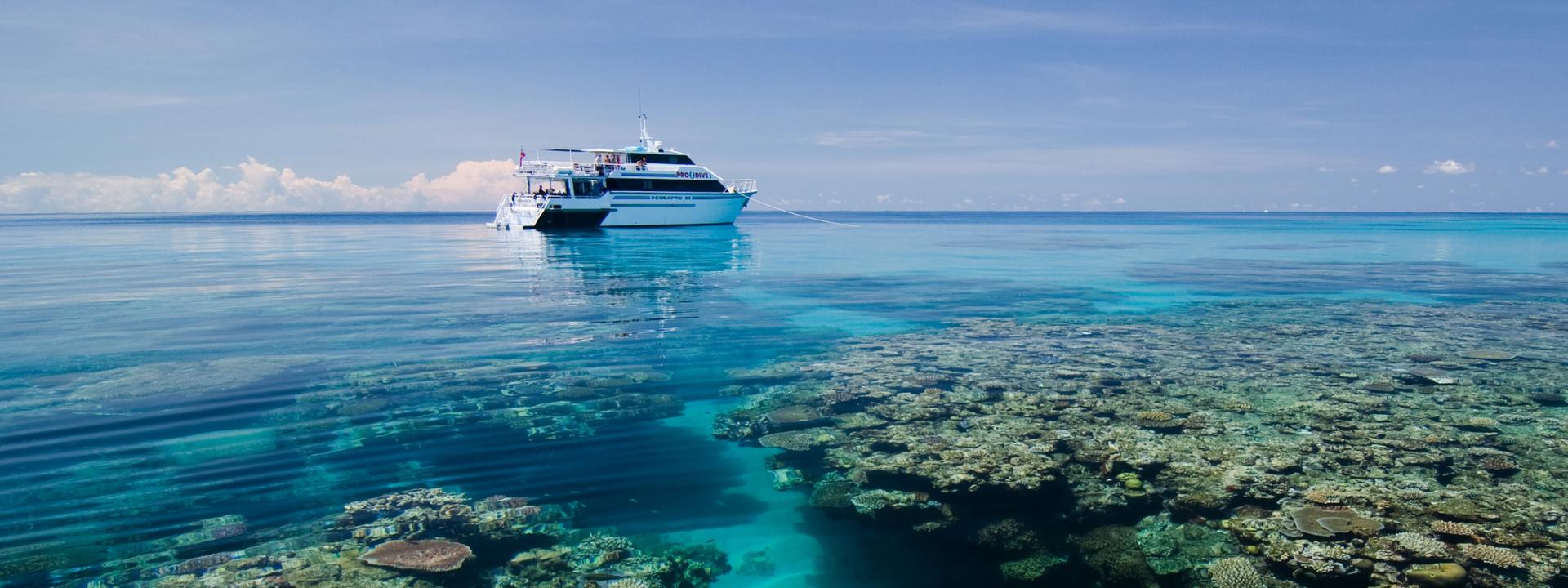 5 Day PADI Learn to Dive in Cairns - Image 1