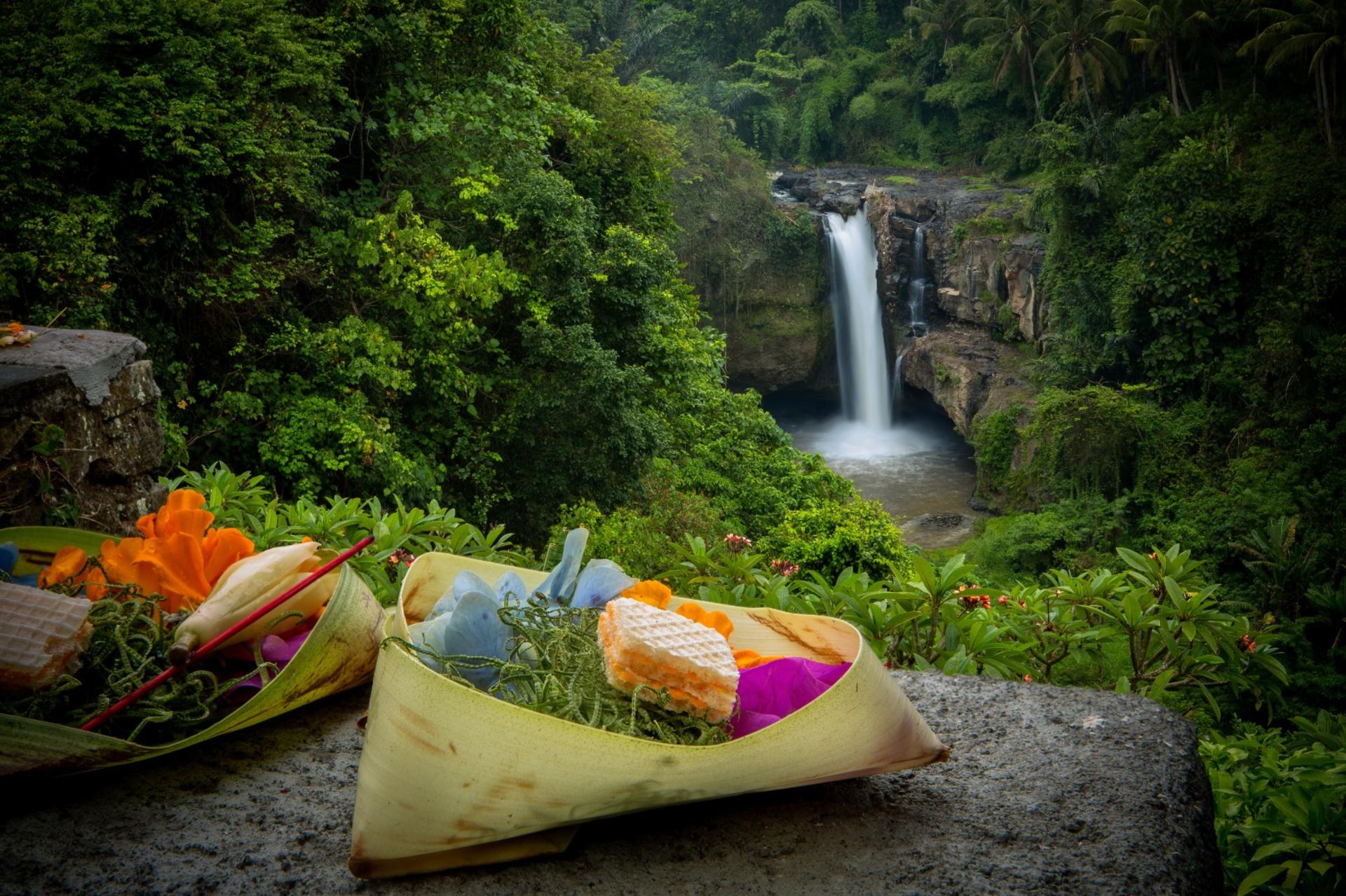 Ubud Highlights Private Day Tour - Thumbnail 3