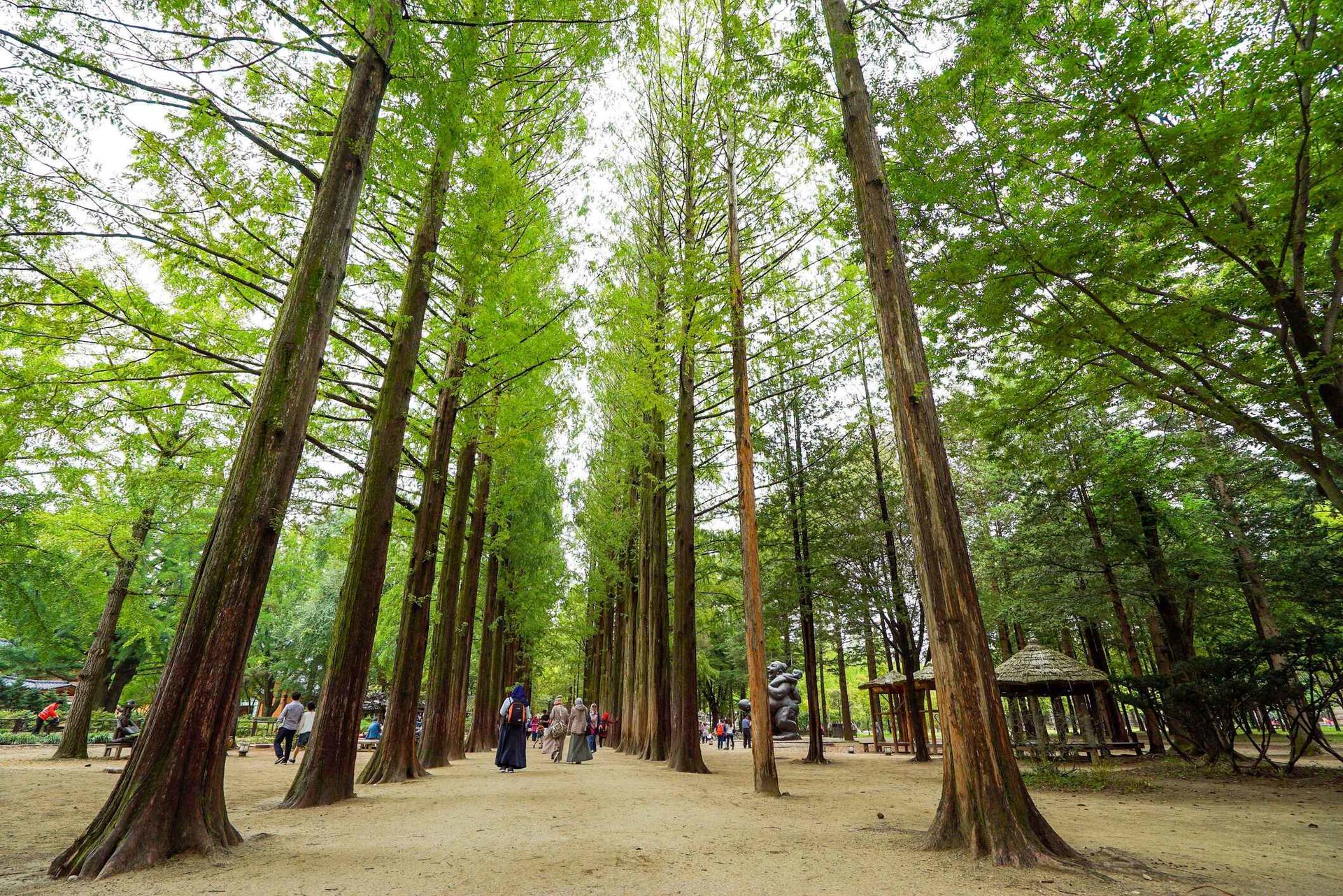 Seoul City Highlights Private Tour with Pickup and Drop-off - Thumbnail 7
