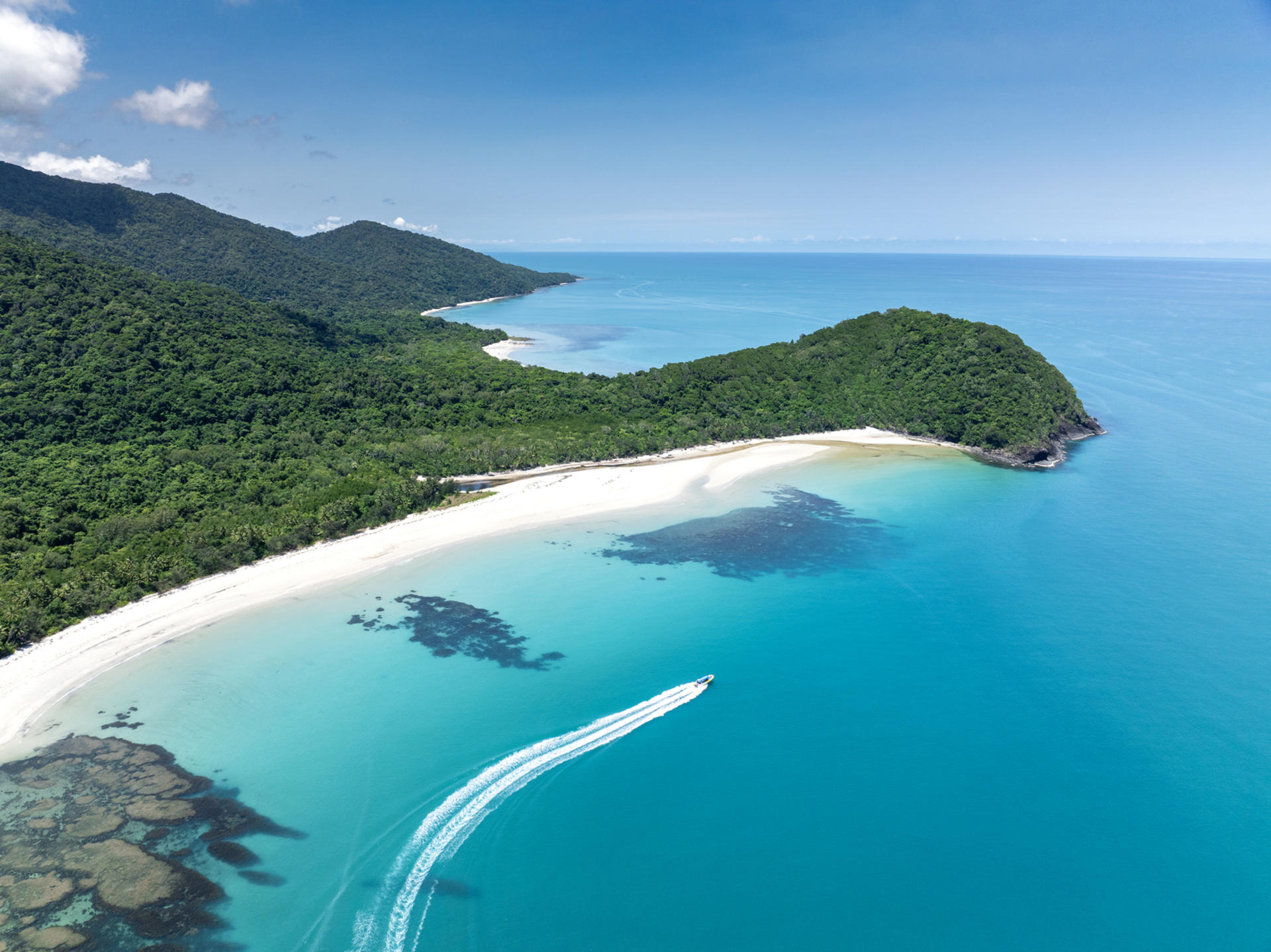 Daintree Rainforest & Mossman Gorge Day Tour from Cairns - Thumbnail 2