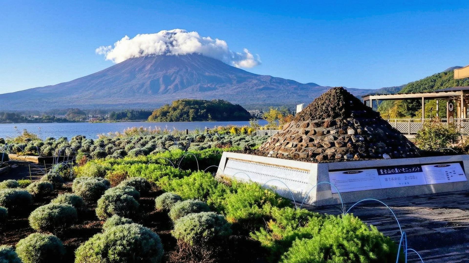 Mount Fuji Brilliant Scenery One-Day Tour (Departing from Tokyo) - Thumbnail 25
