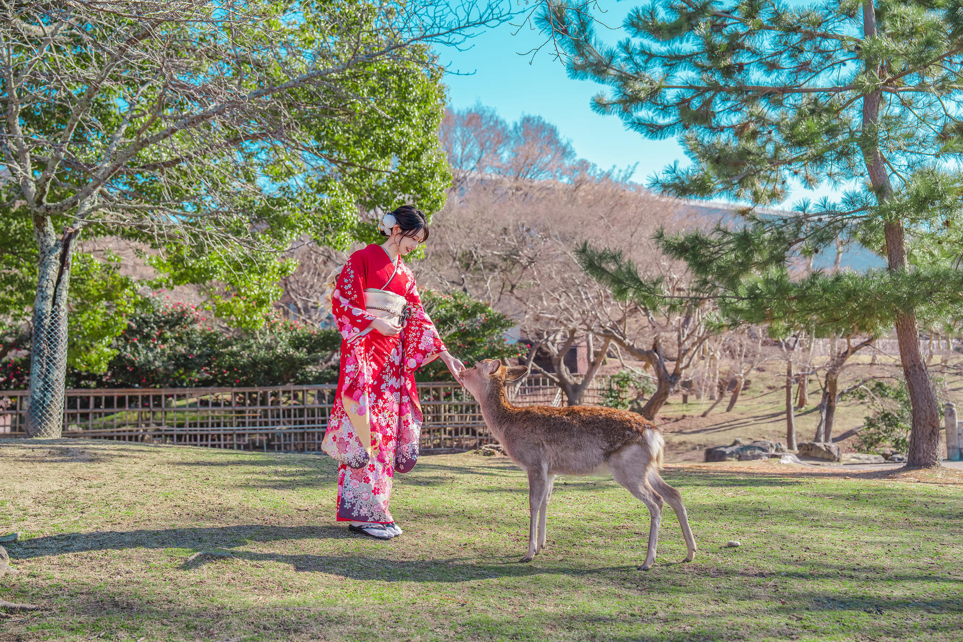 Kimono and Yukata Rental Experience (Provided by Osaka / Kawaii Osaka) - Thumbnail 9