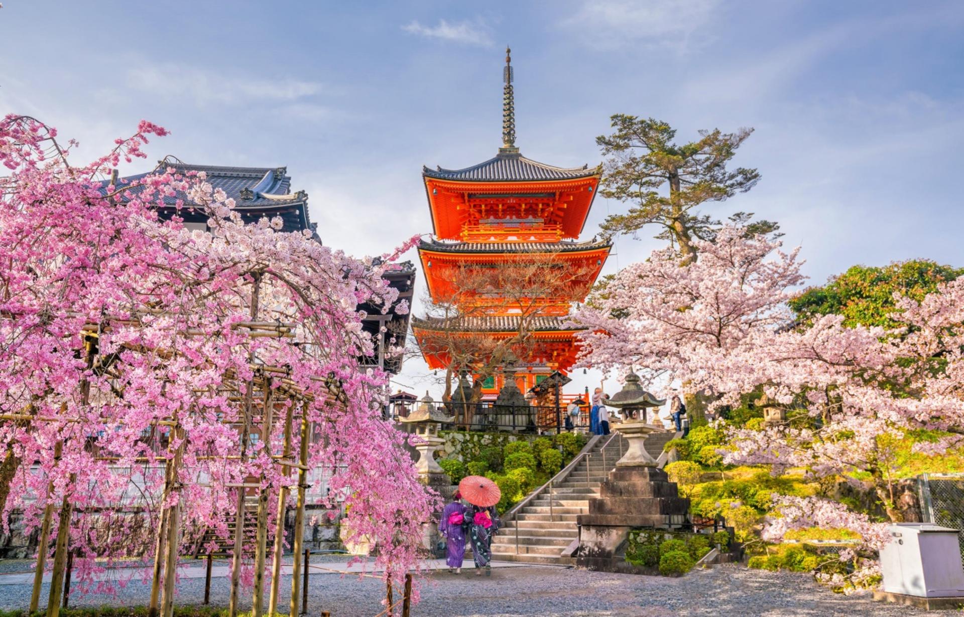 Kyoto & Nara & Amanohashidate 2-Day Tour - Free Shrimp Sticks for Feeding Seagulls (Accommodation Not Included) - Thumbnail 2
