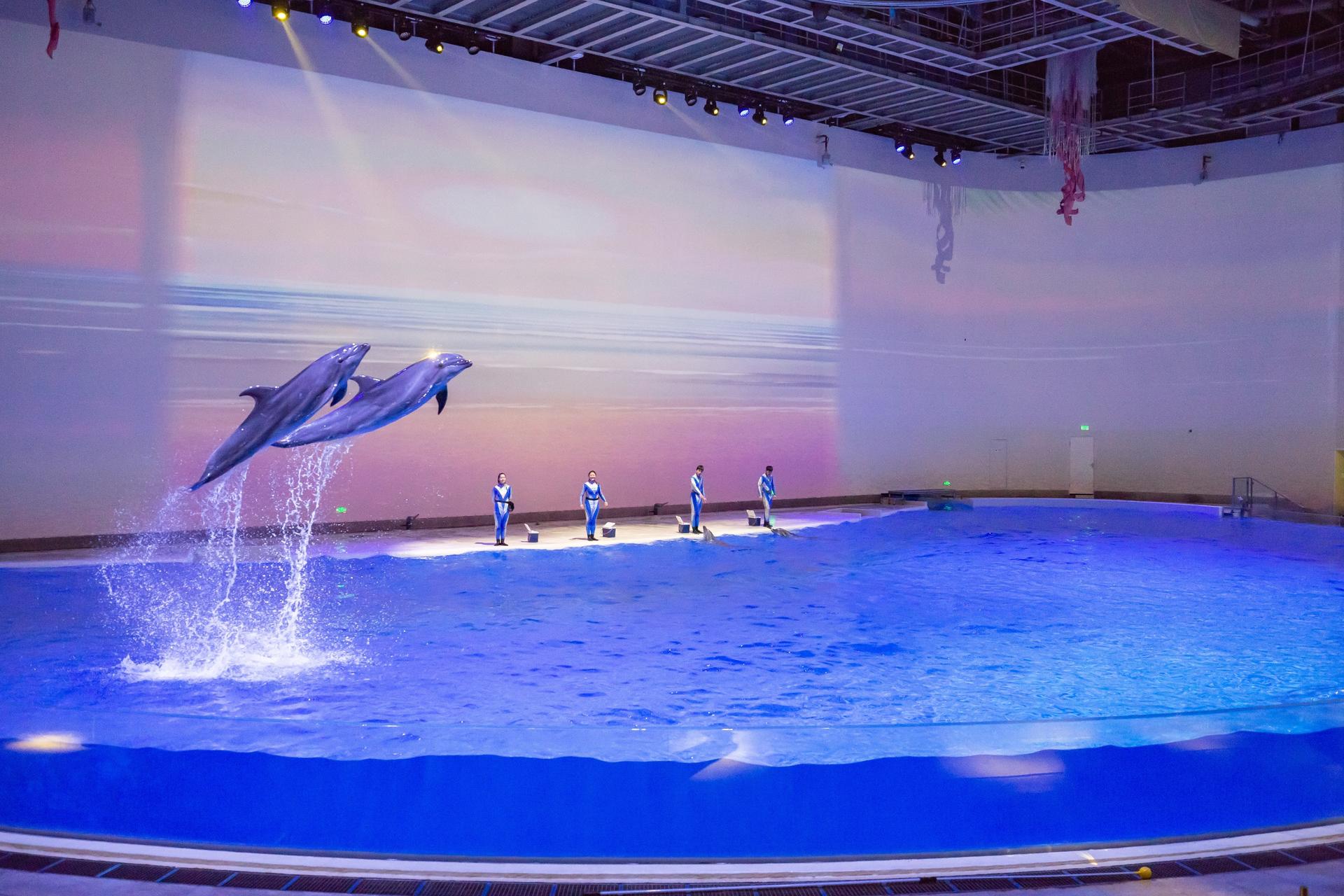 Shanghai Haichang Ocean Park Ticket - Thumbnail 6