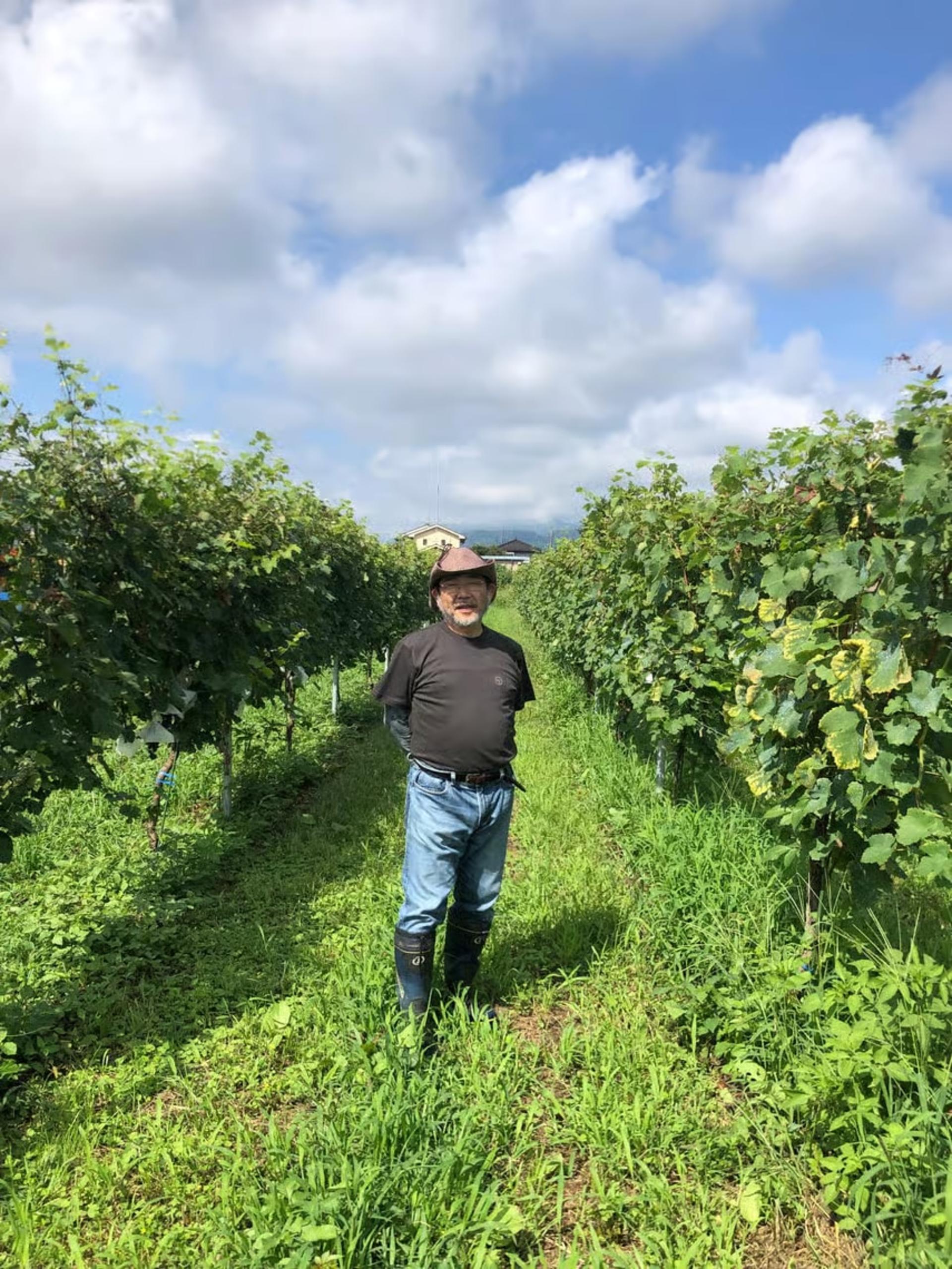Tokyo: Akiruno Vineyard Tama Guided Experience & Wine Tasting - Thumbnail 3