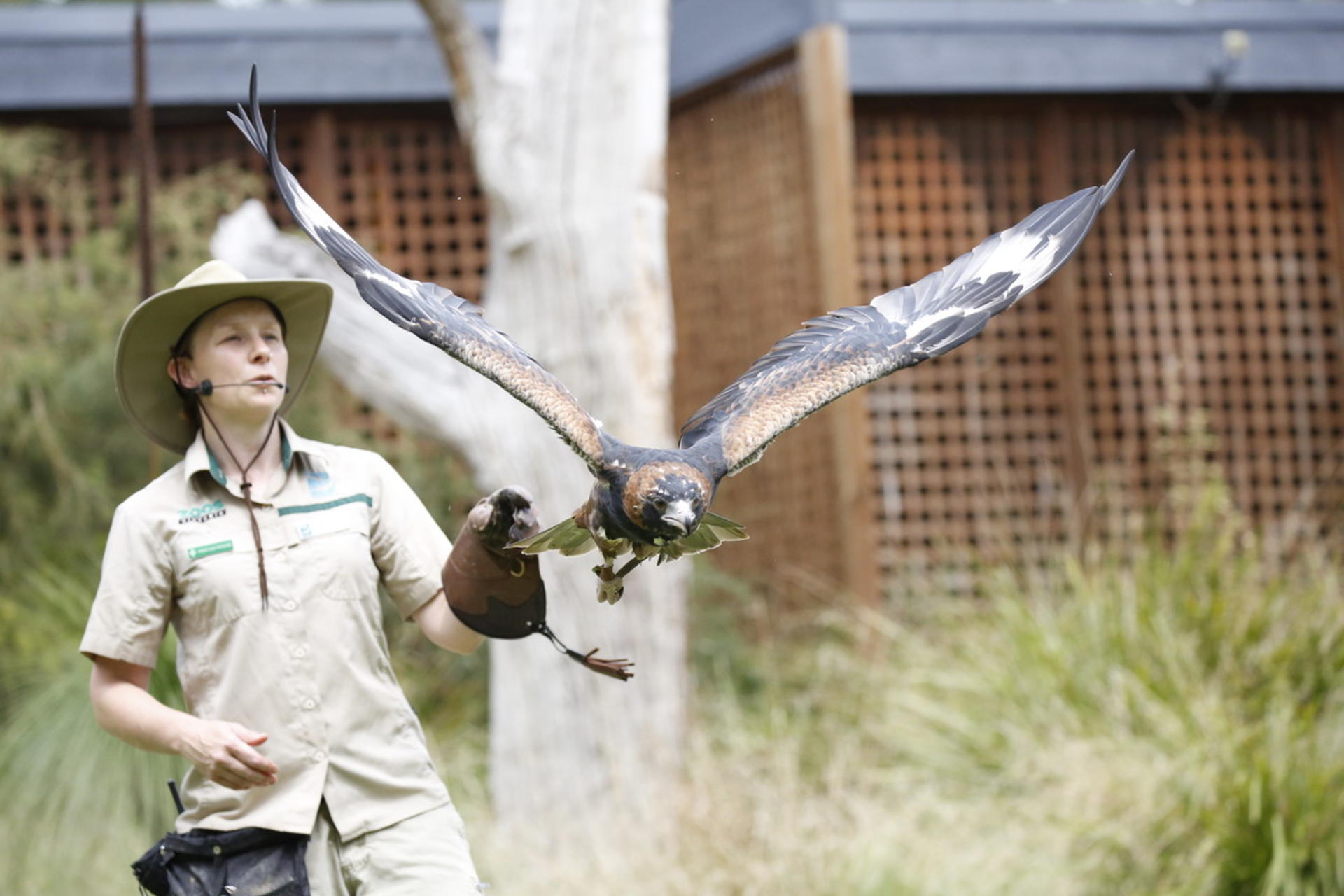 Healesville Sanctuary Ticket - Thumbnail 2