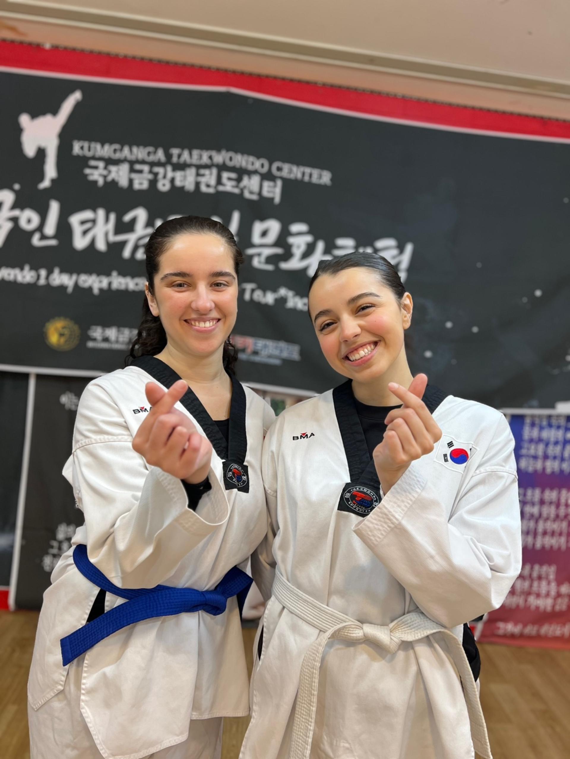 Seoul Taekwondo One-Day Experience - Thumbnail 2