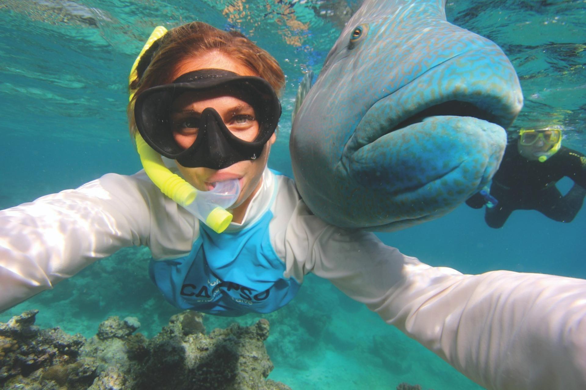 Great Barrier Reef Half Day and Full Day Tours - Thumbnail 16