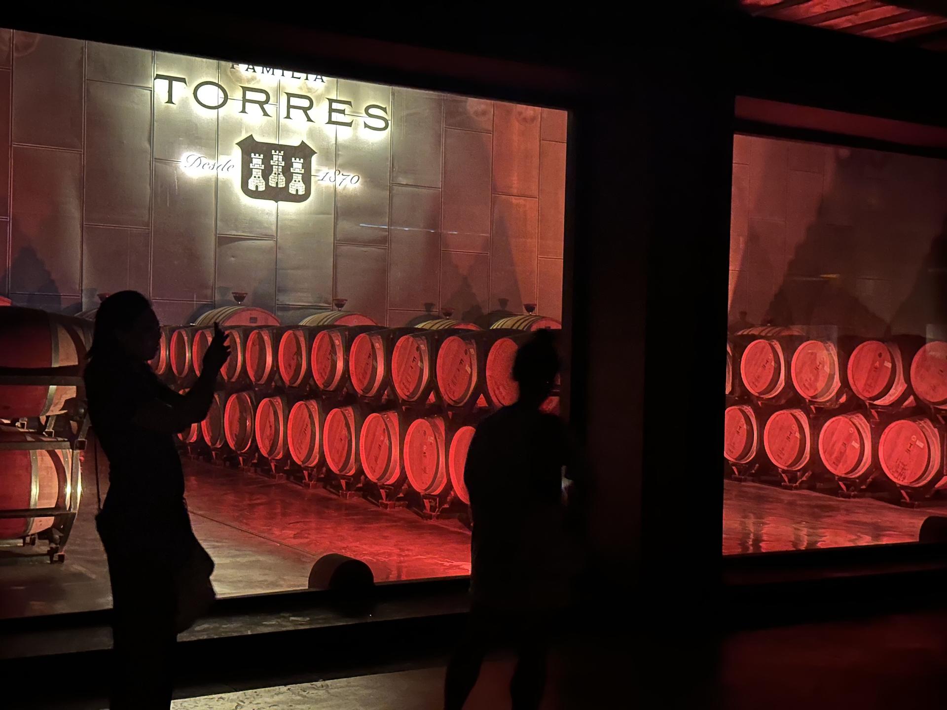 Barcelona Torres Winery Half-Day Small Group Tour - Thumbnail 7