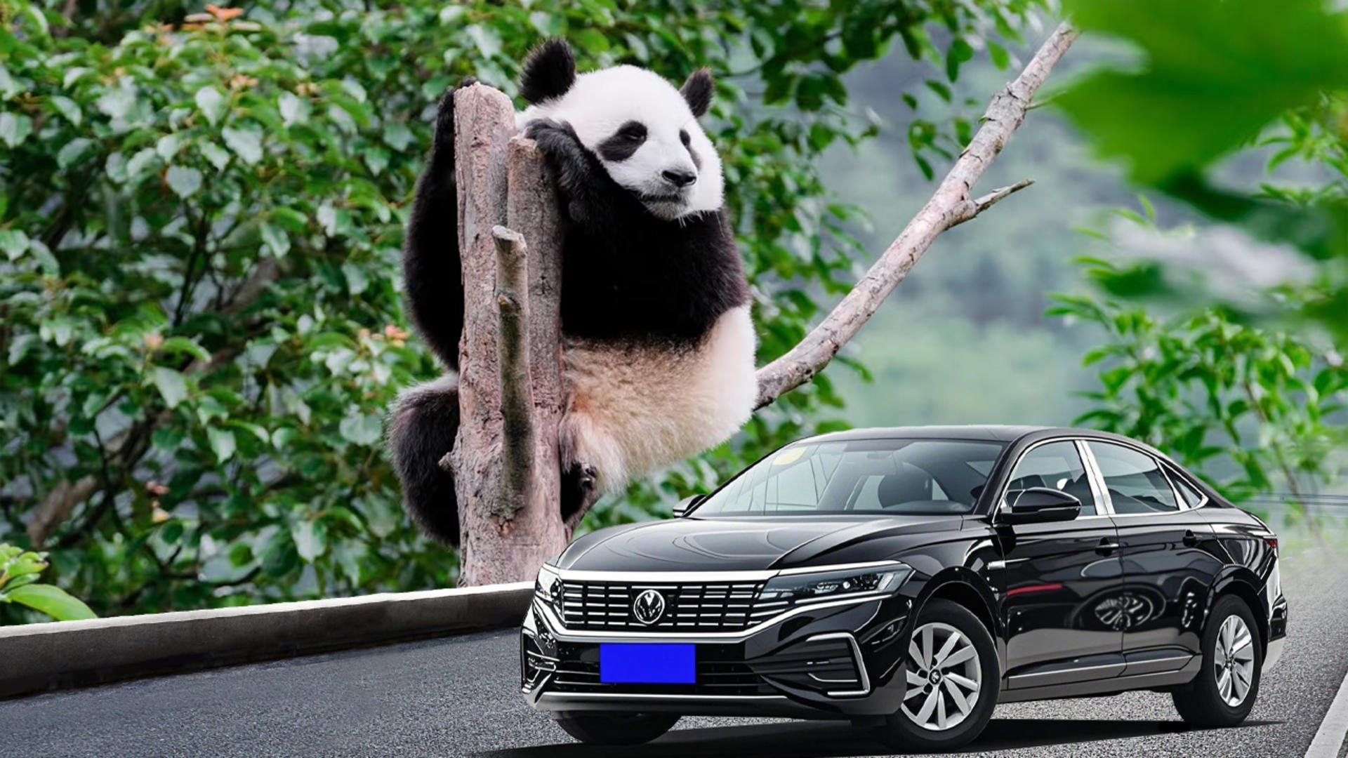 Chengdu Suburbs: Optional Dujiangyan/Giant Panda Base/Mount Qingcheng/Sanxingdui Private Day Tour - Image 1