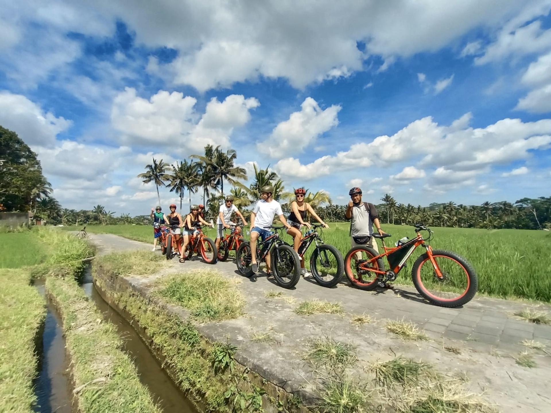 Ubud Rice Fields & Tegallalang E-Bike Discovery - Image 1