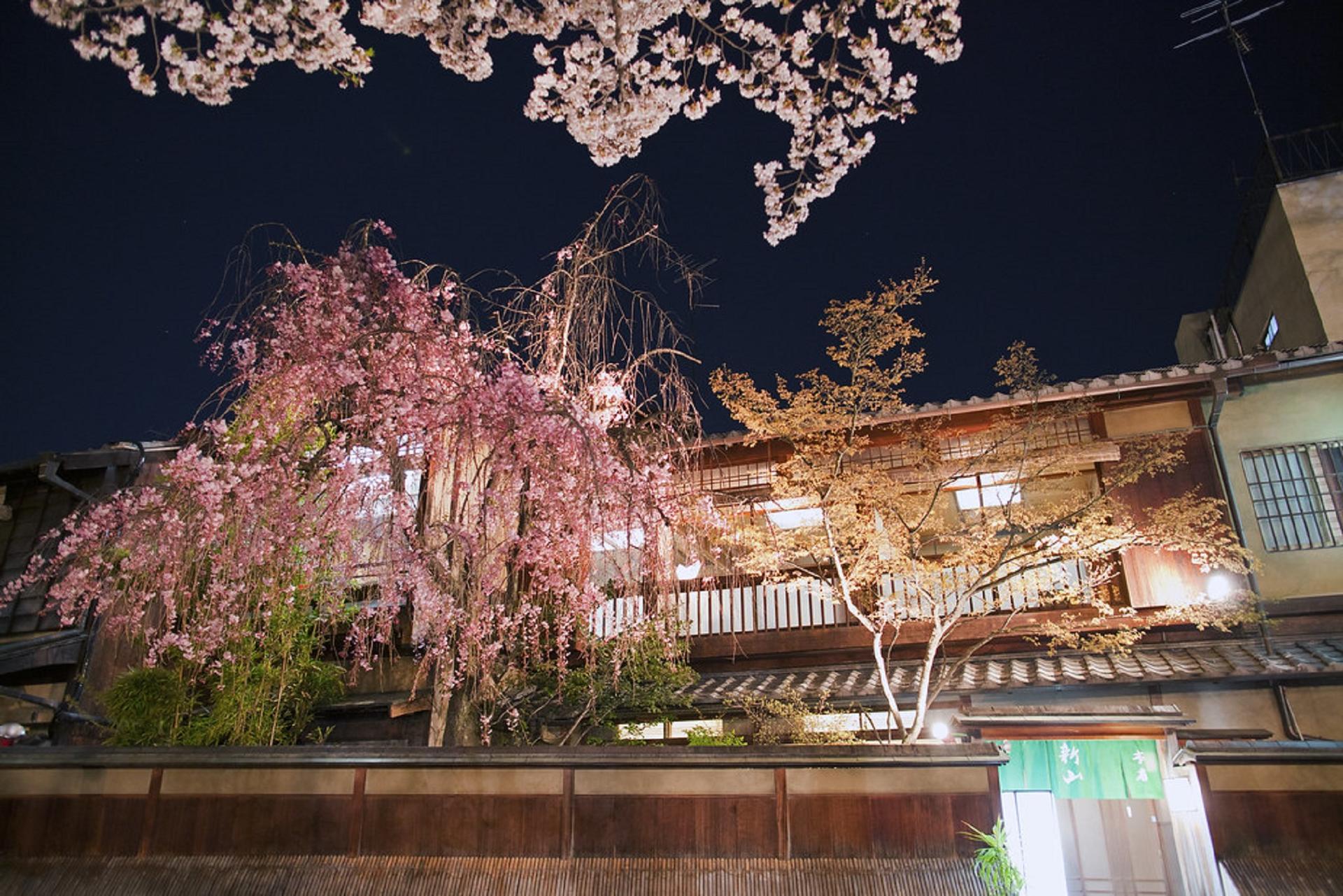 Kyoto Gion Night Guided Walking Tour (3 Hours) - Thumbnail 16
