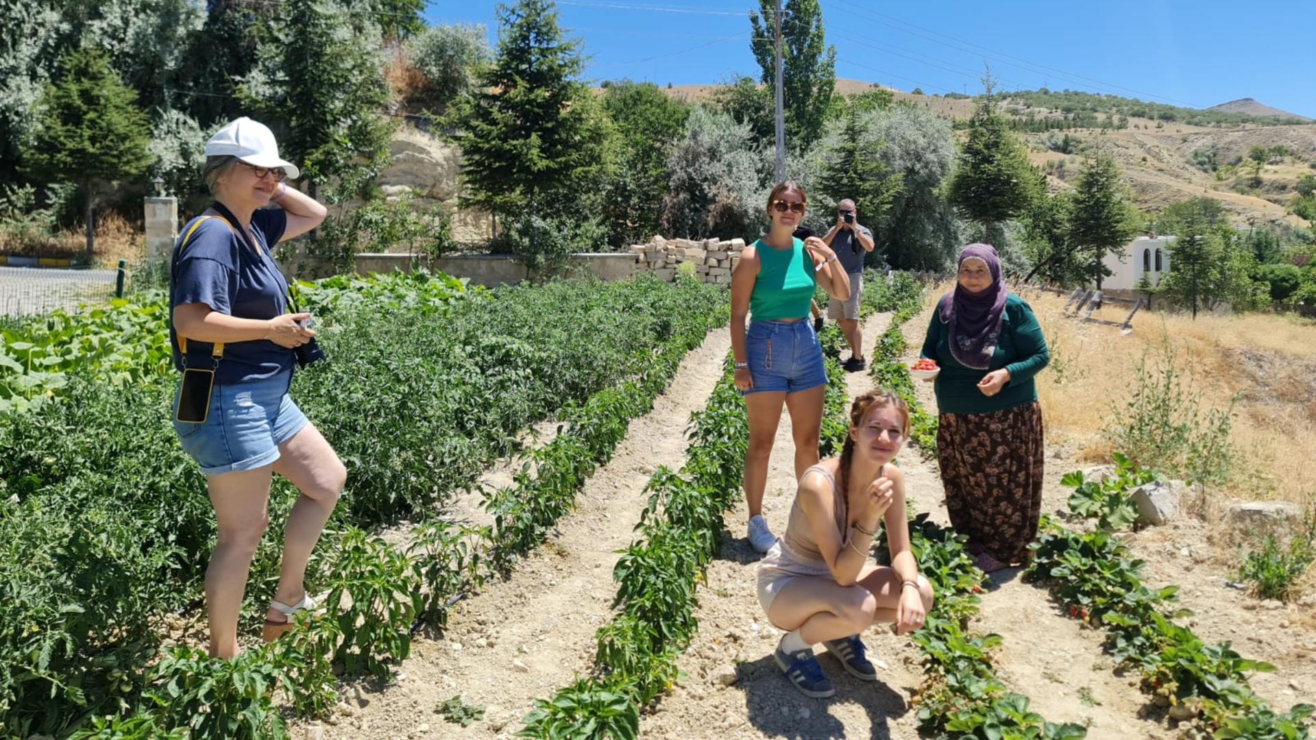 Beekeeping Experience with Honey Tasting in Cappadocia - Thumbnail 2