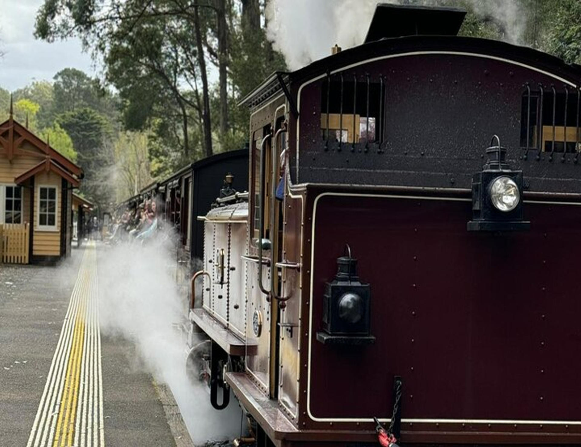 Melbourne Puffing Billy & Penguin Parade Private Tour - Thumbnail 23
