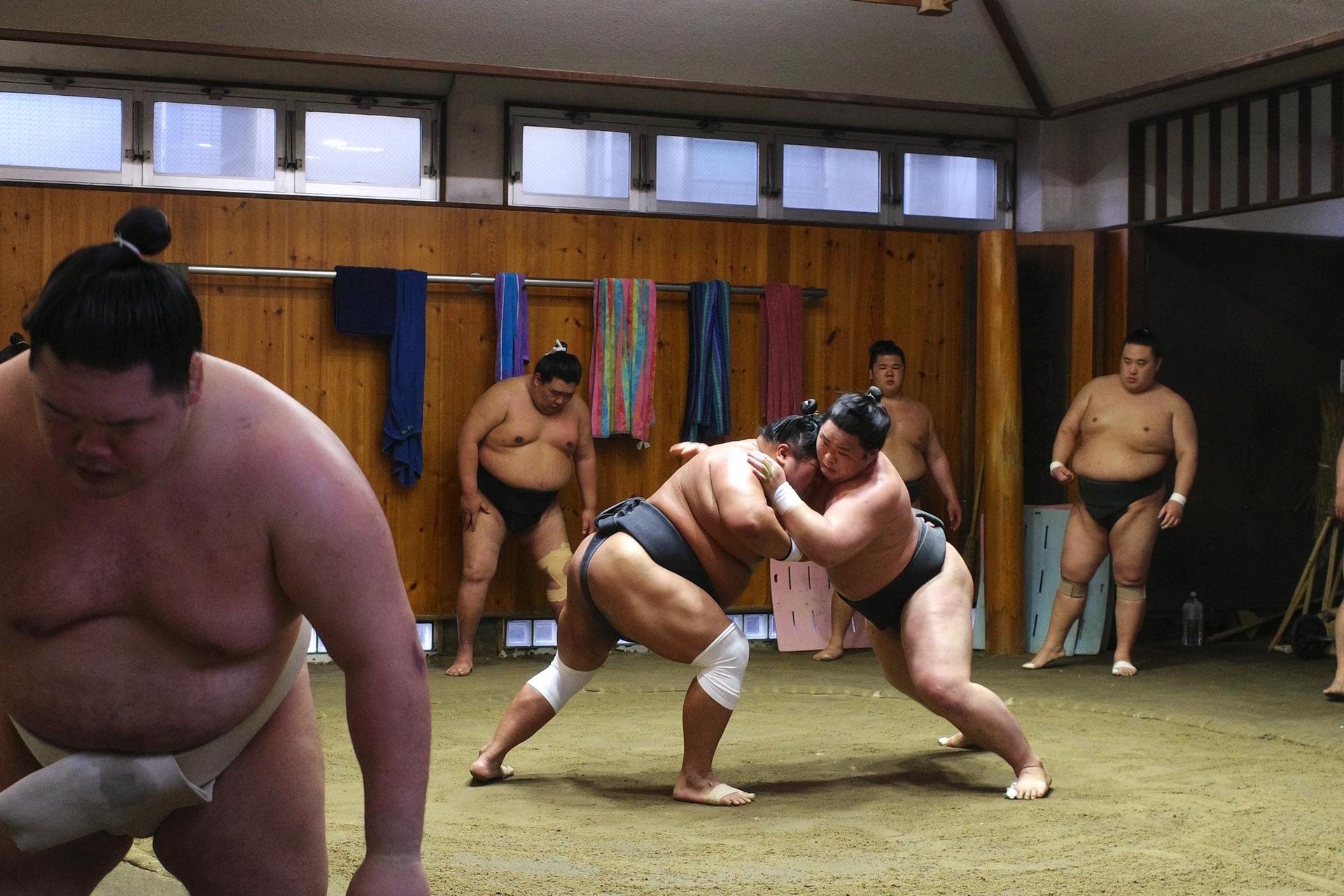 Authentic Tokyo Sumo Practice with Seat, Photos, and Audio Guide - Thumbnail 16