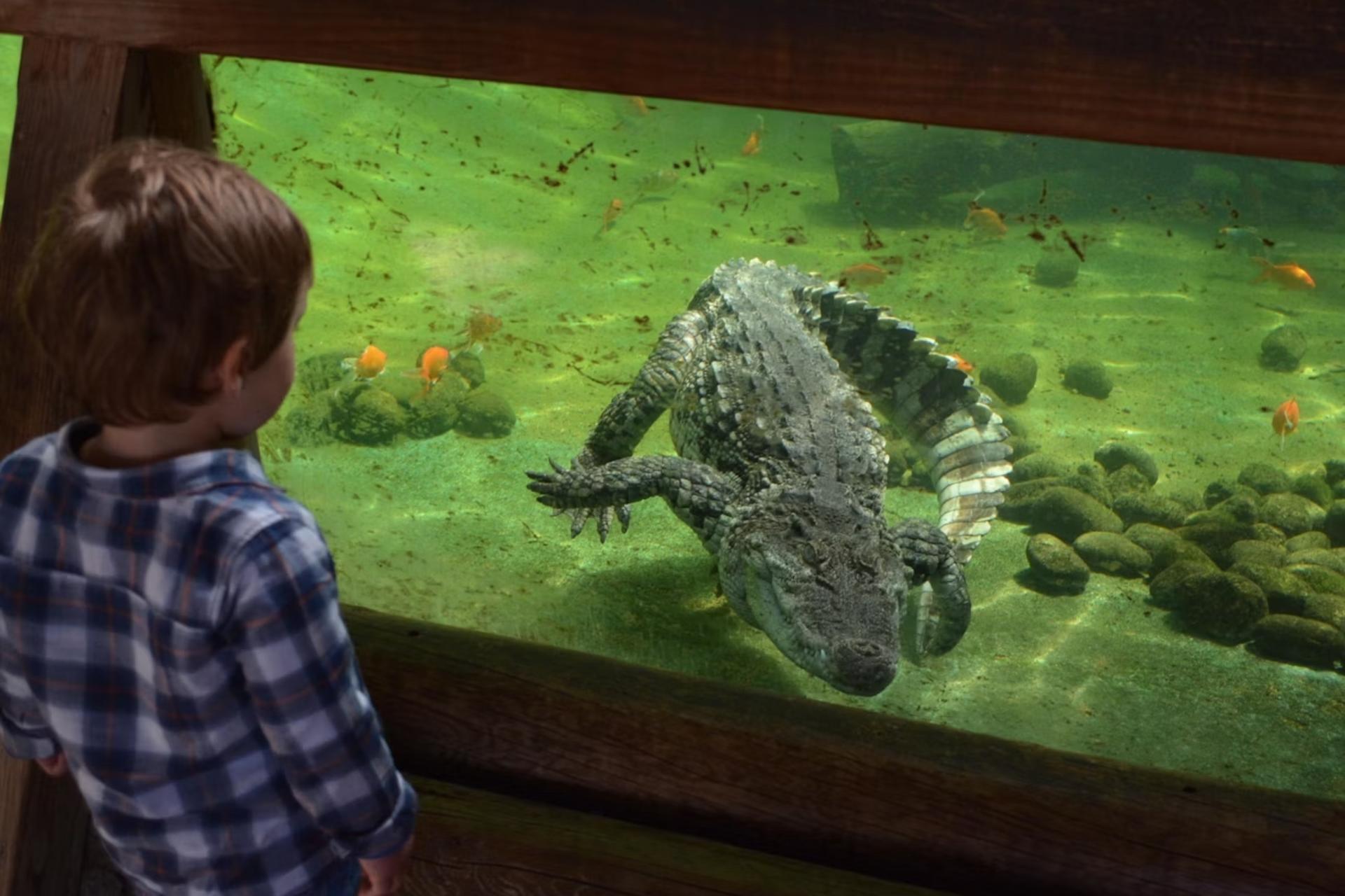 Terra Natura ticket in Benidorm - Thumbnail 4