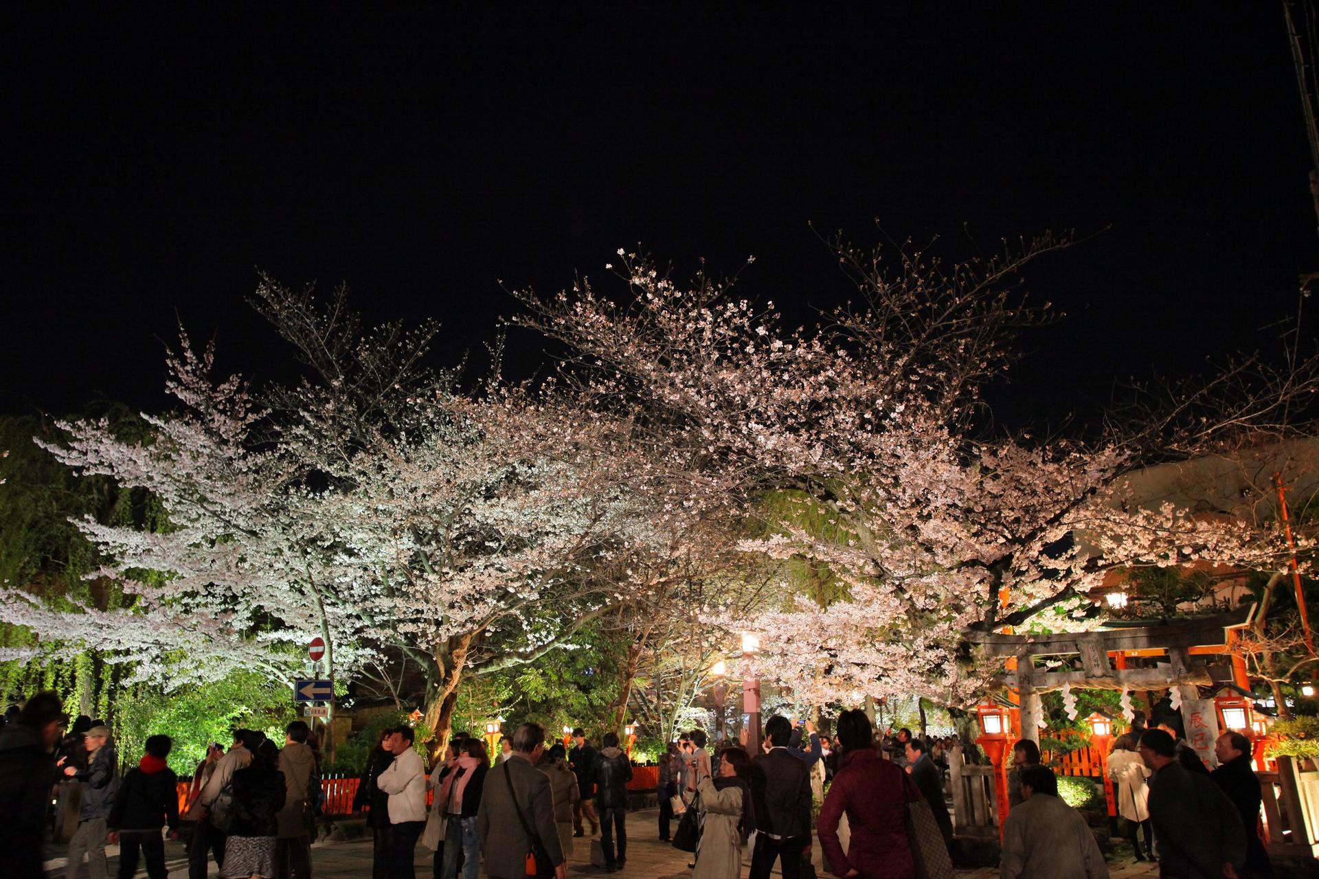 Kyoto Gion Night Guided Walking Tour (3 Hours) - Thumbnail 15
