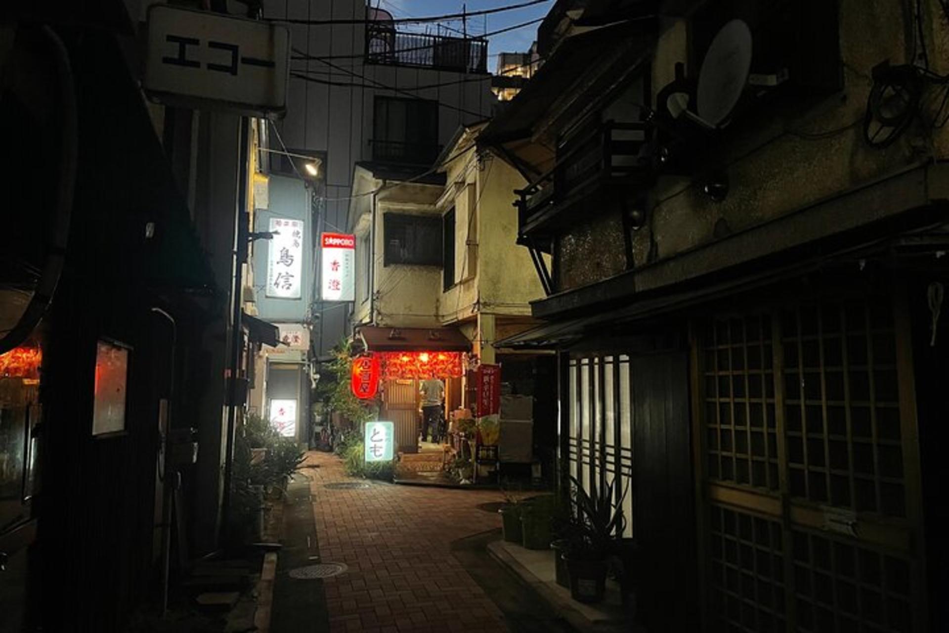 Tokyo: A Cultural Journey and a Little Izakaya Bar Hopping Tour - Thumbnail 18