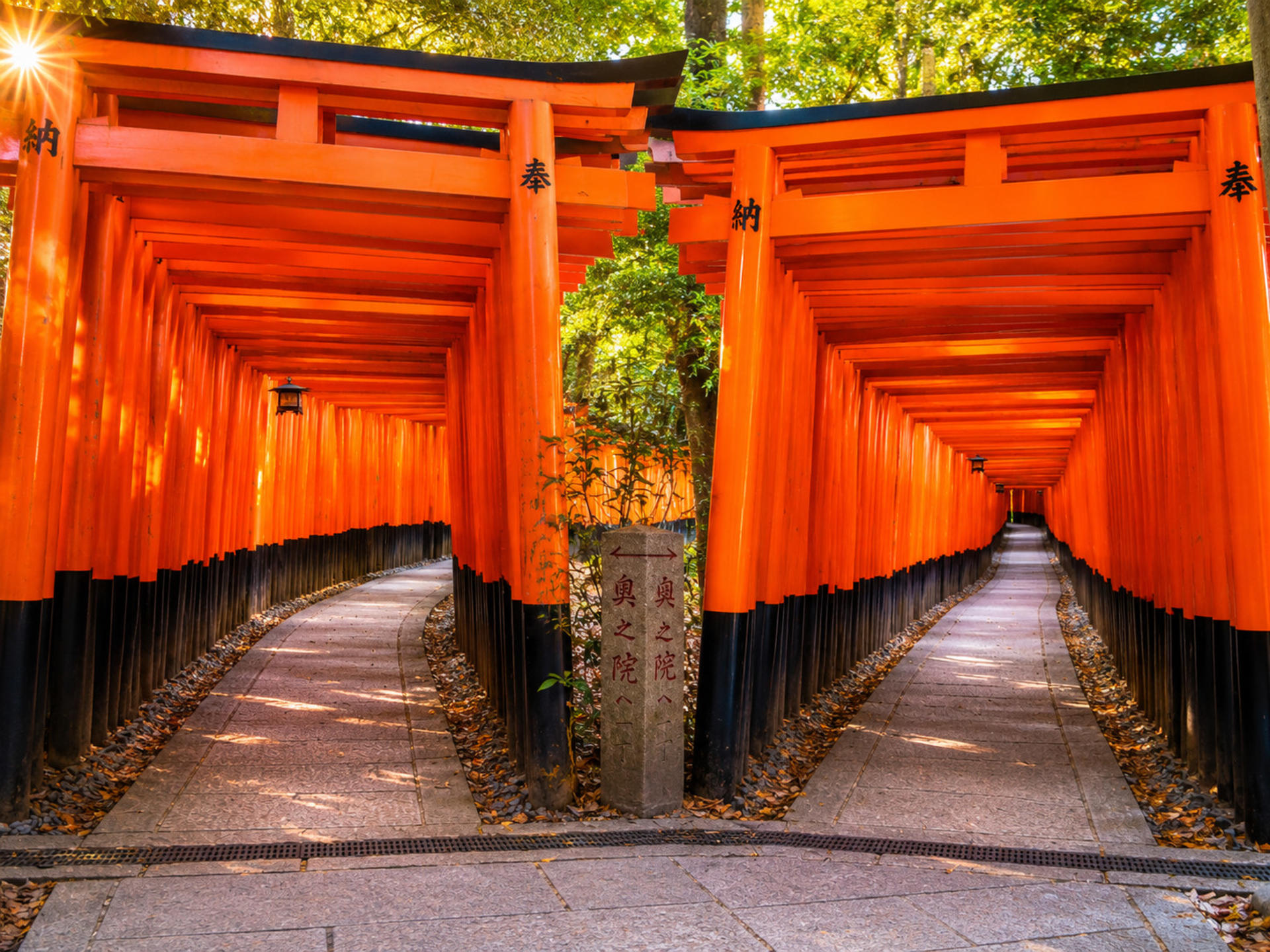 Kyoto Fushimi Inari Shrine Senbon Torii & Arashiyama Bamboo Forest Togetsukyo Bridge & Nara Park Todai-ji Temple One-Day Tour [Can upgrade to A5 Wagyu "Kobe Beef" (Departing from Osaka/Kyoto)] - Thumbnail 11