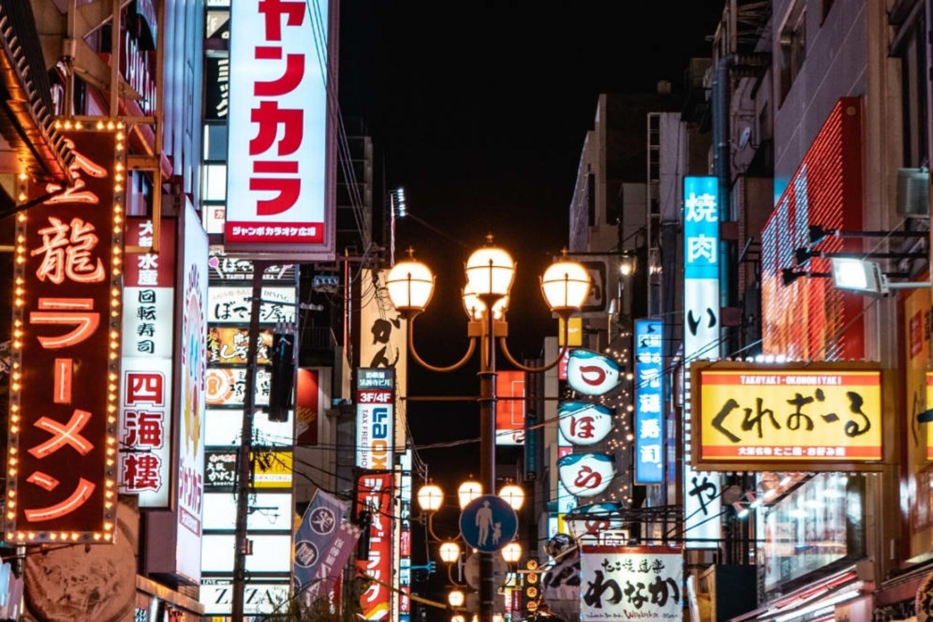 Osaka Nightlife Half-Day Private Tour - Thumbnail 2