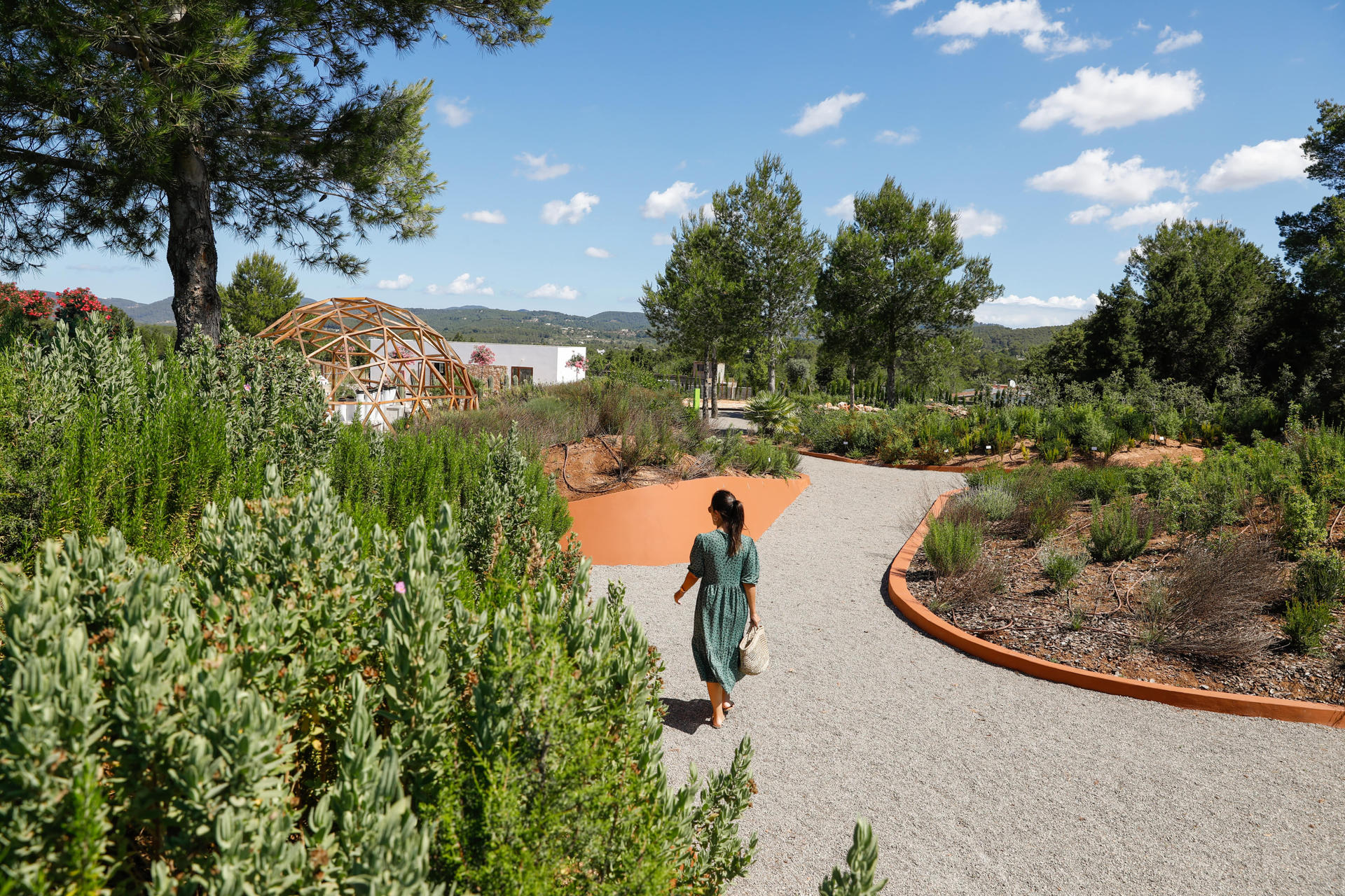 Ibiza Biotechnological Botanical Garden Tour - Thumbnail 8