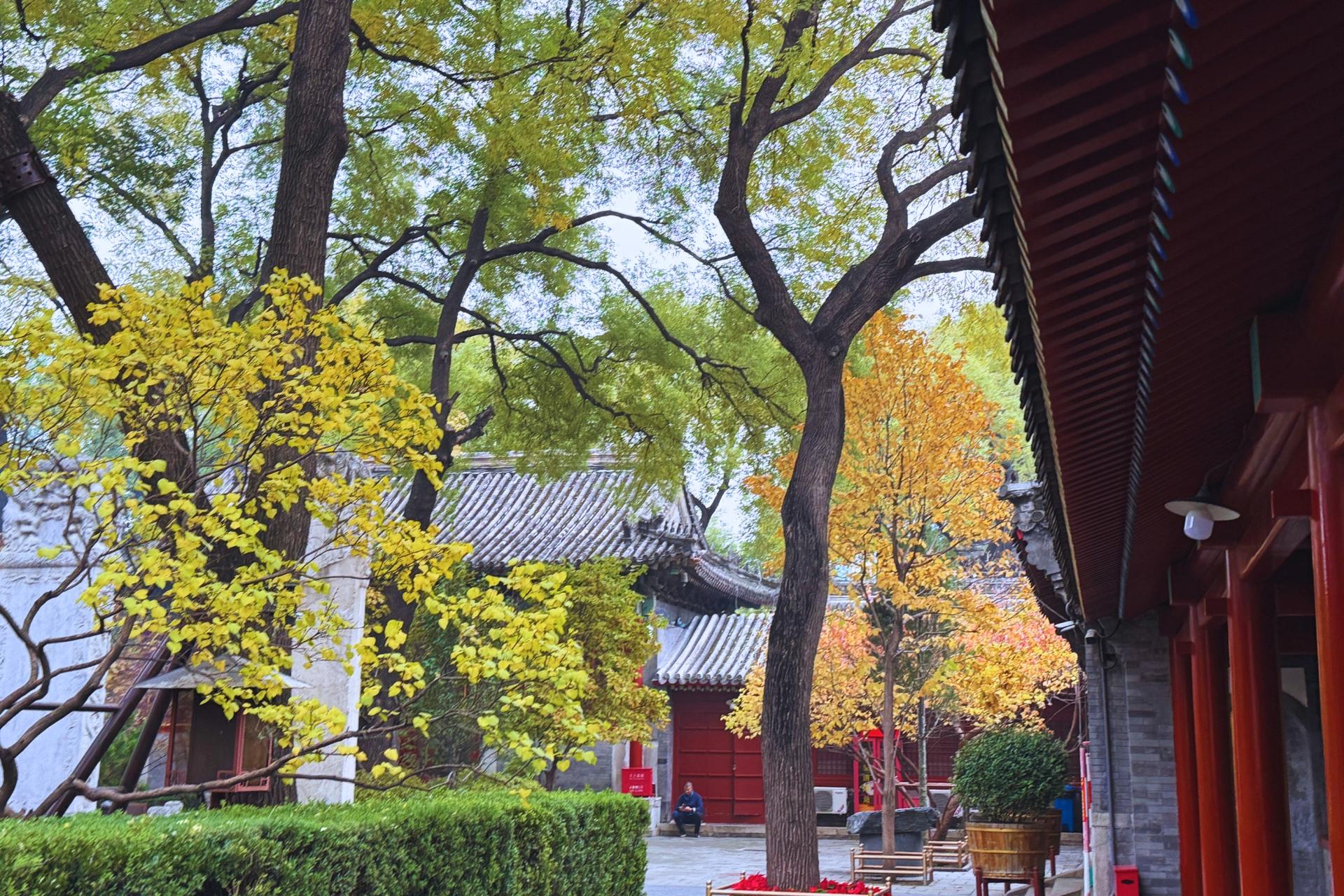 Beijing Hutong Museum Cluster Tour—Culture, Temples & Life - Thumbnail 14