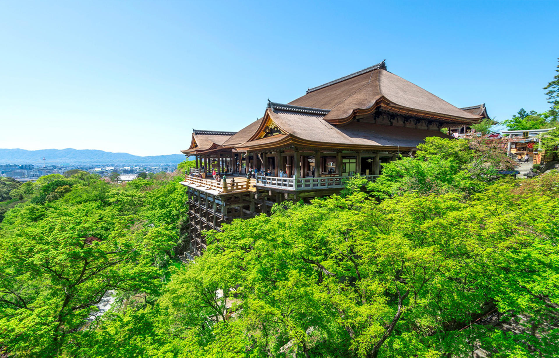 Kyoto Nara Day Trip │ Kiyomizu-dera Temple + Fushimi Inari-taisha Shrine + Nara Park (Departing from Osaka/Kyoto) - Thumbnail 22