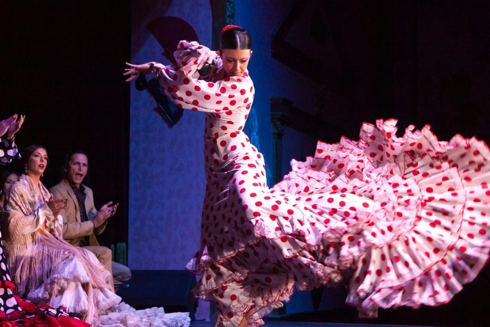 Flamenco show at El Palacio Andaluz in Seville - Thumbnail 8