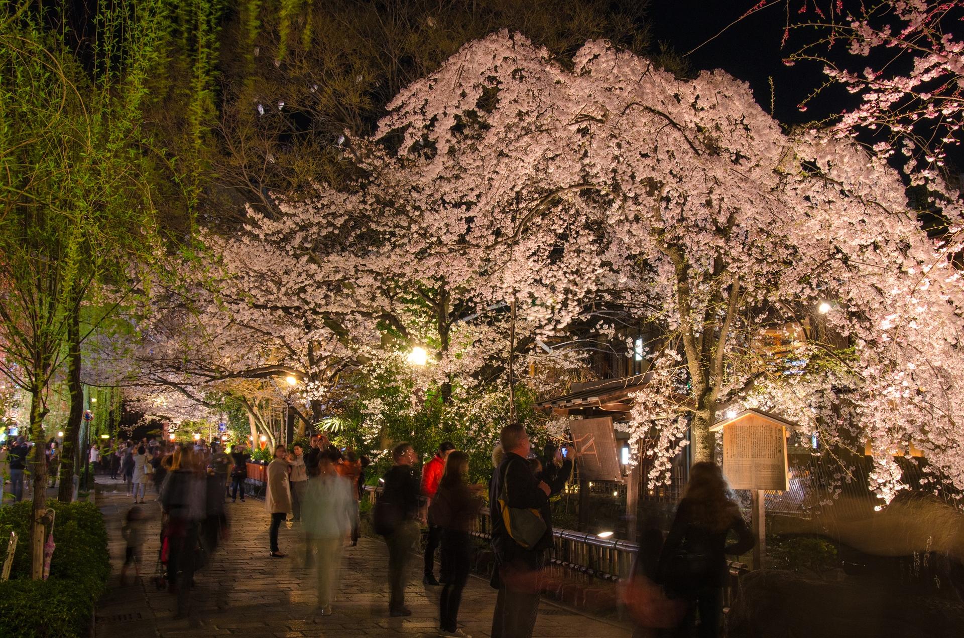 Kyoto Gion Night Guided Walking Tour (3 Hours) - Thumbnail 19