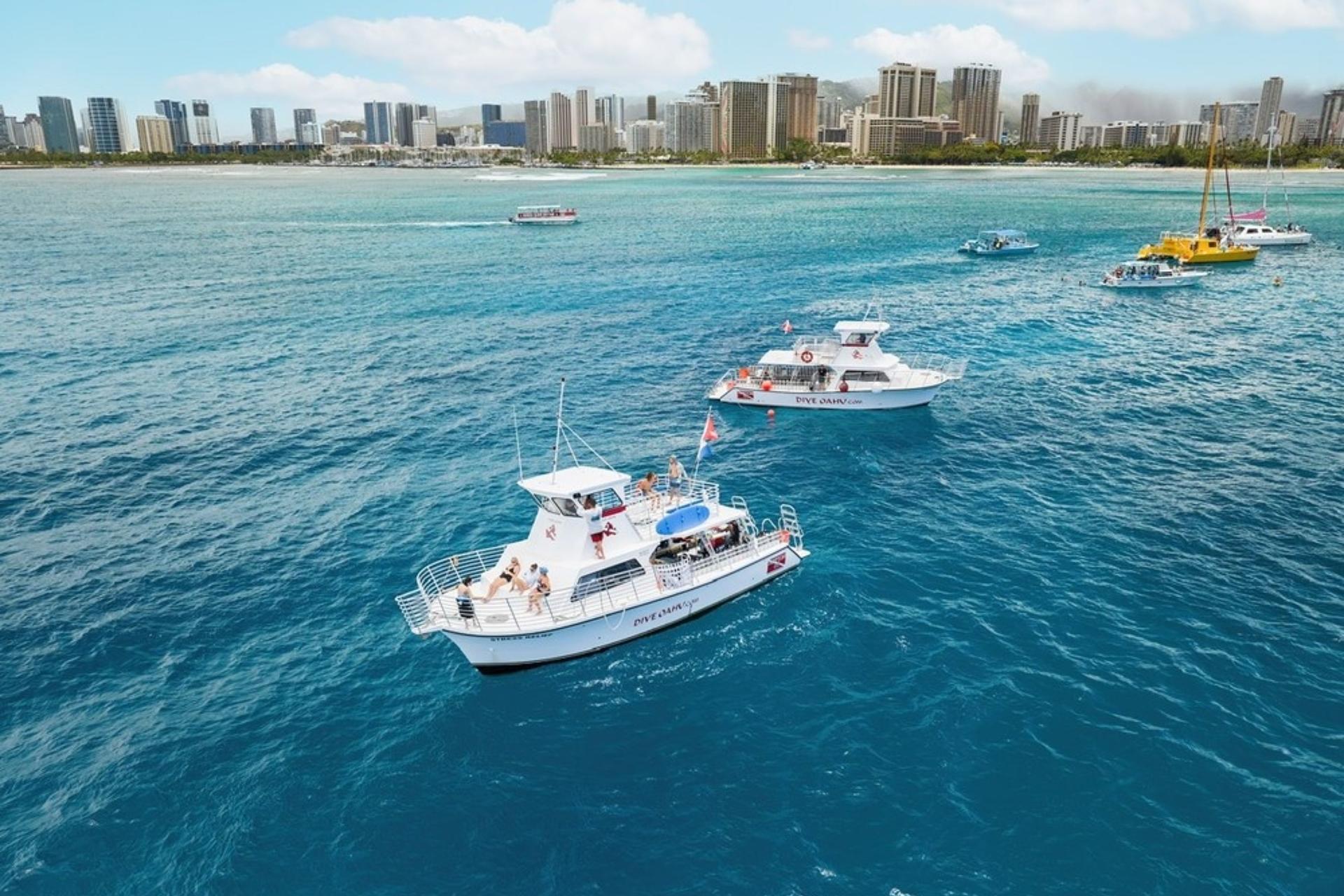 Honolulu Introductory Discovery Diving Experience - Thumbnail 3