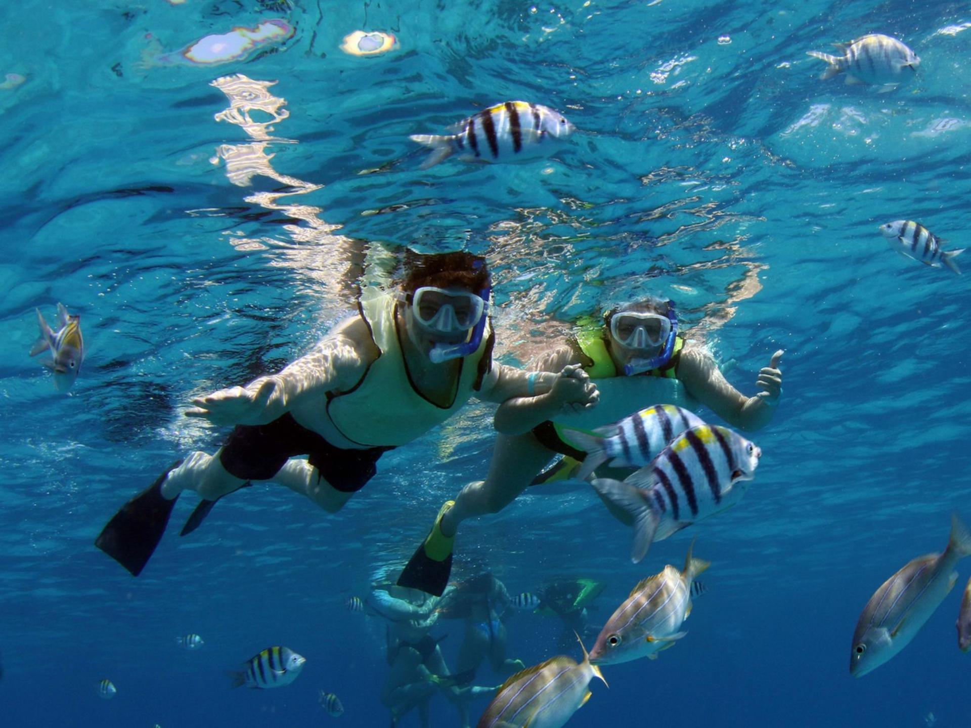 Luxury Afternoon Snorkeling Cruise and Dolphin Watch from Ko Olina - Thumbnail 29