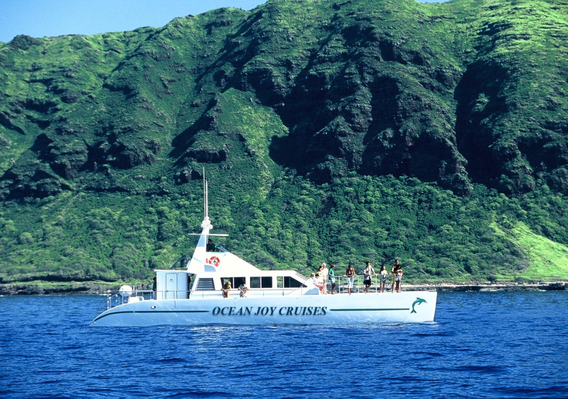 Luxury Morning Snorkel Cruise with Dolphin Watching in Oahu - Thumbnail 8