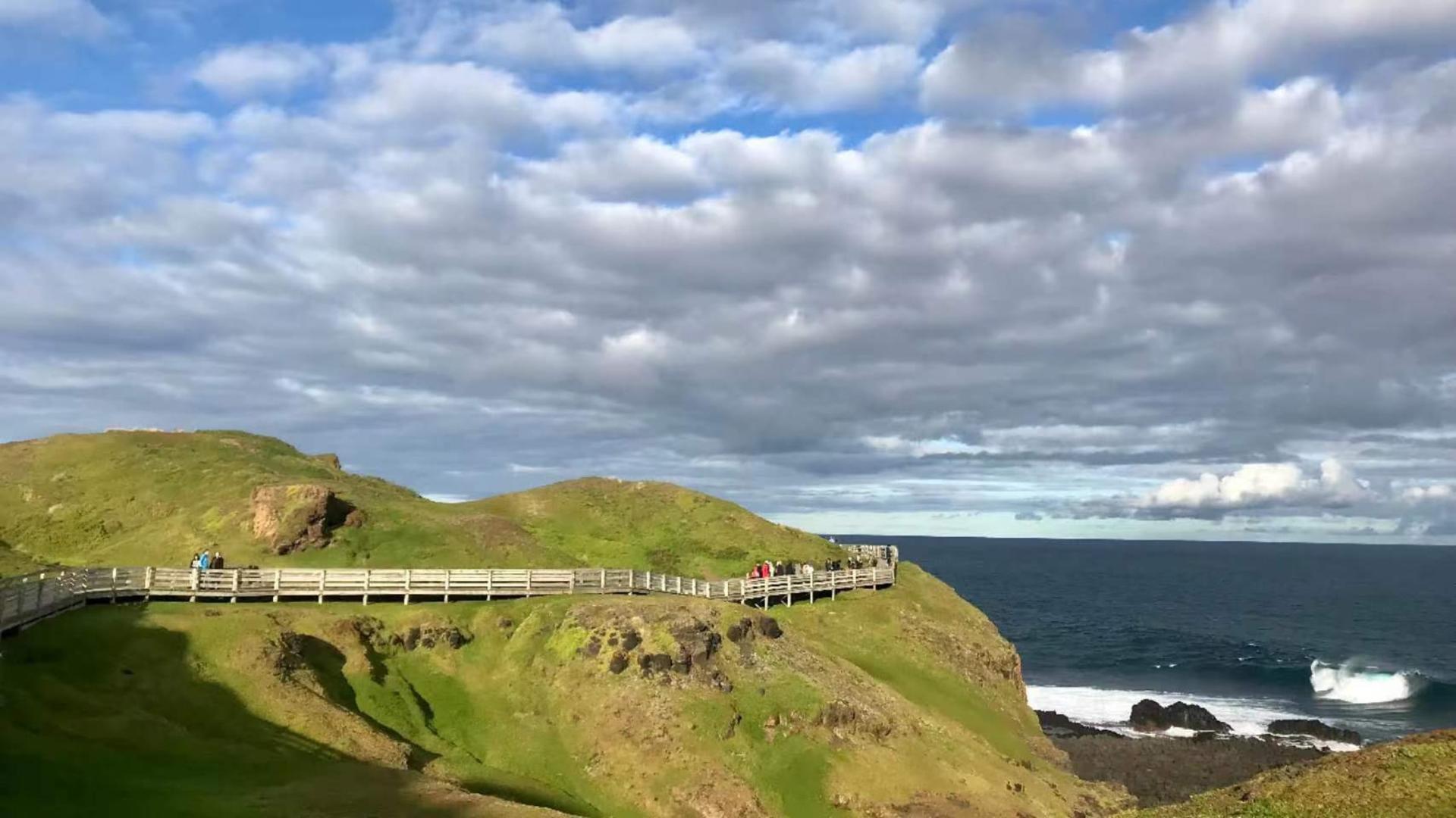 Penguin Parade Experience Tour from Melbourne - Thumbnail 3