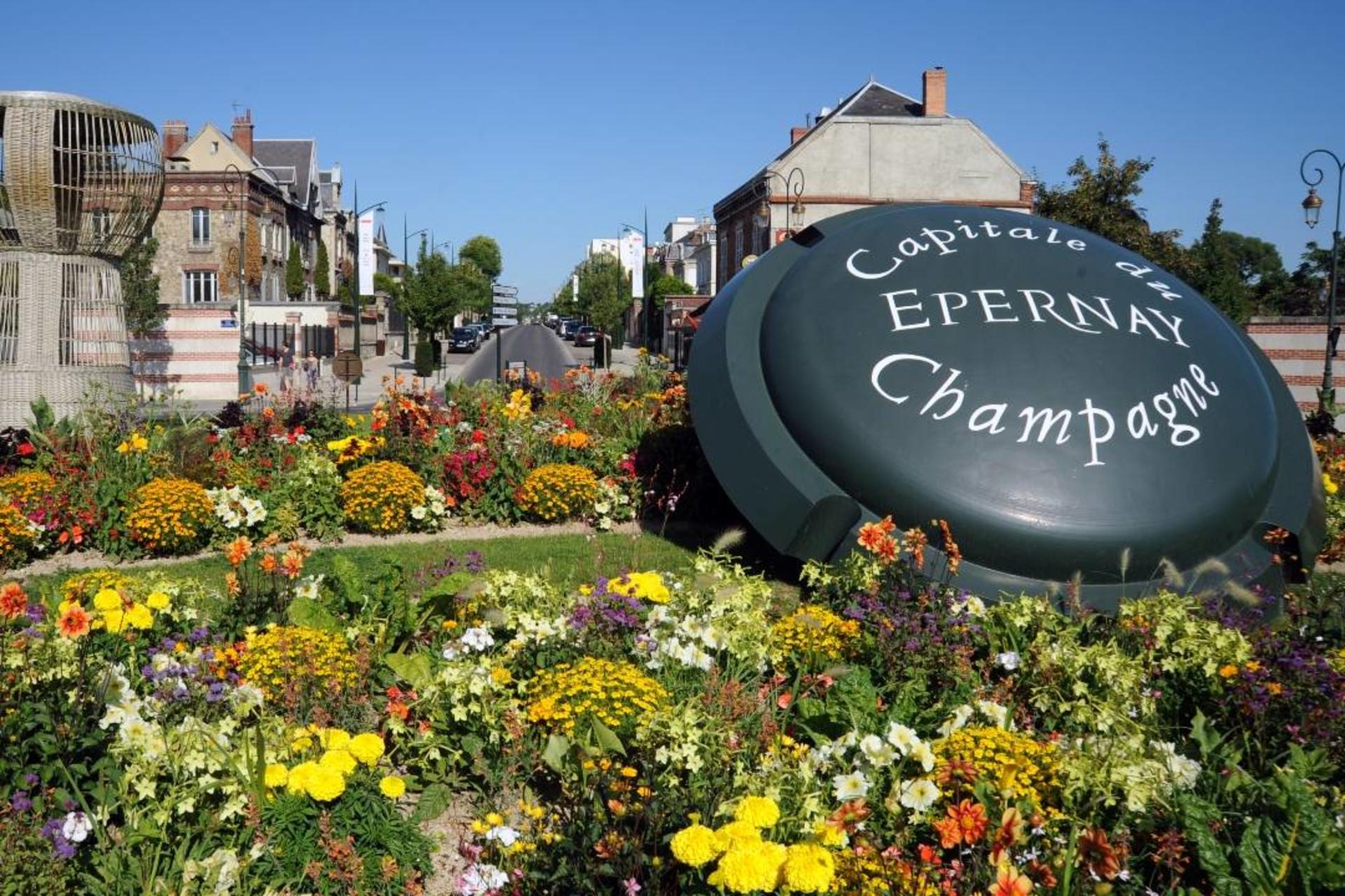 Champagne Tasting at three Family Estates Tour with Lunch from Reims - Thumbnail 2