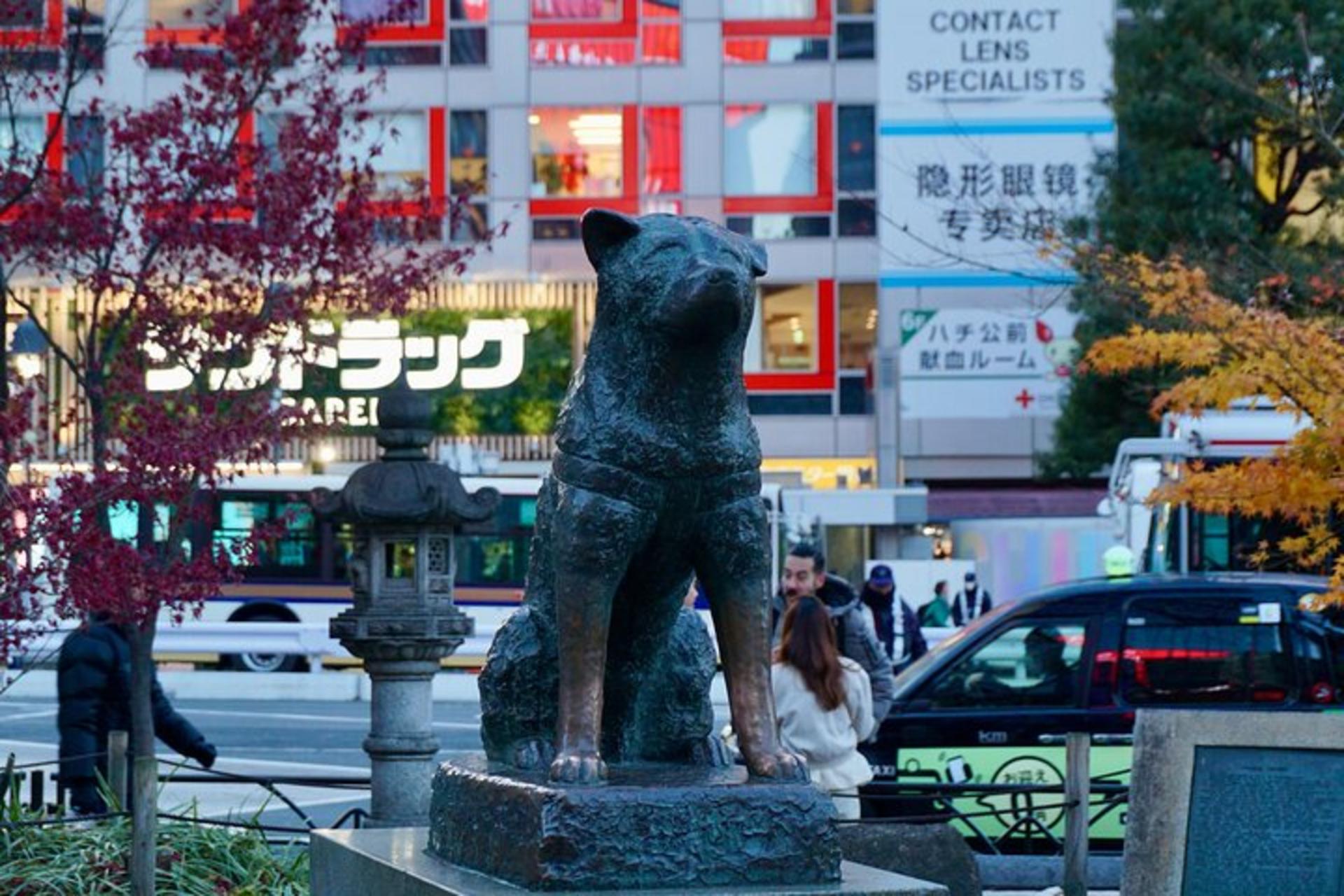 Tokyo Walking Tour From Meiji Shrine in Harajuku to Shibuya Crossing - Thumbnail 10
