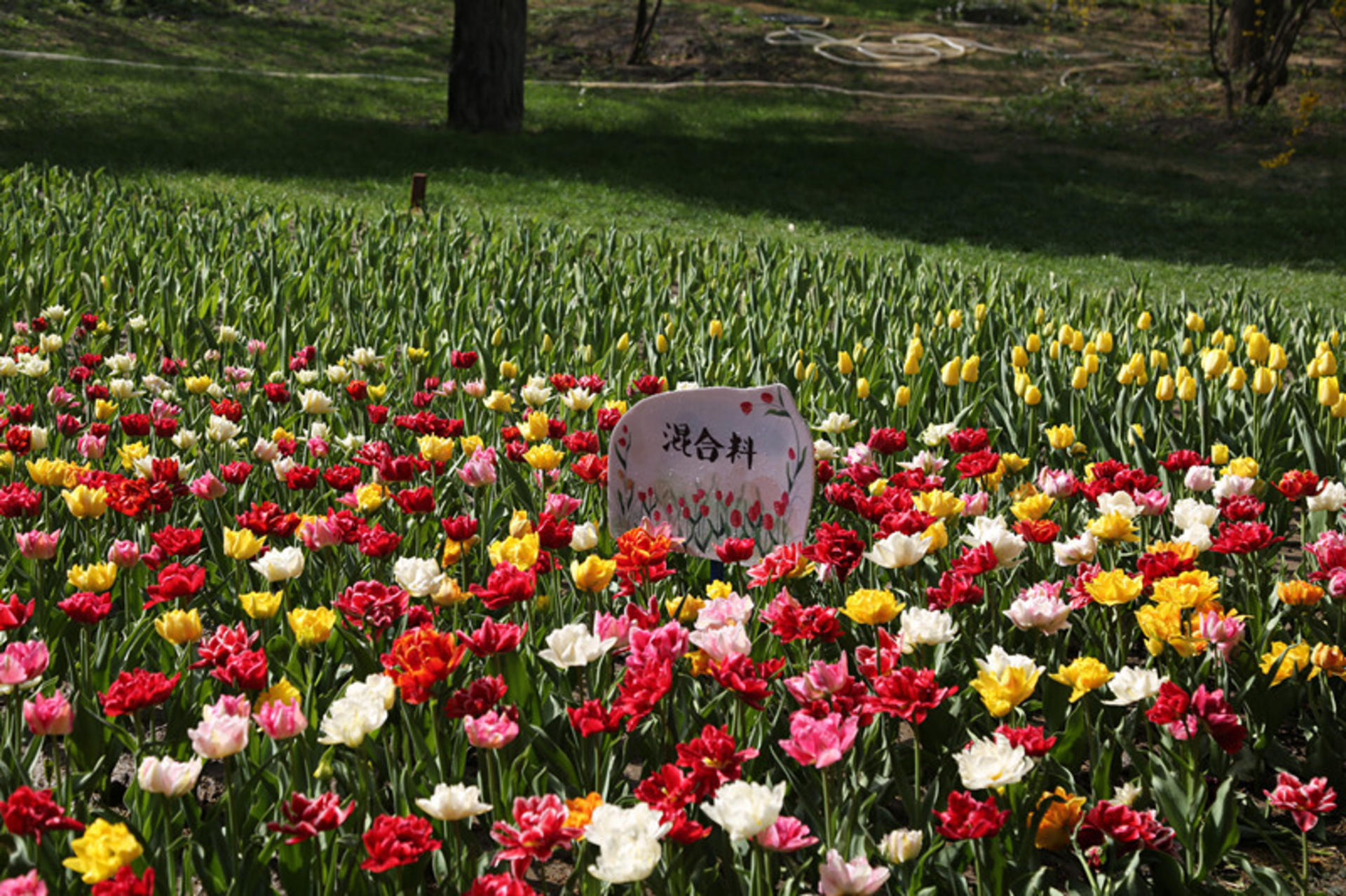 Jingshan Park Tickets - Thumbnail 19