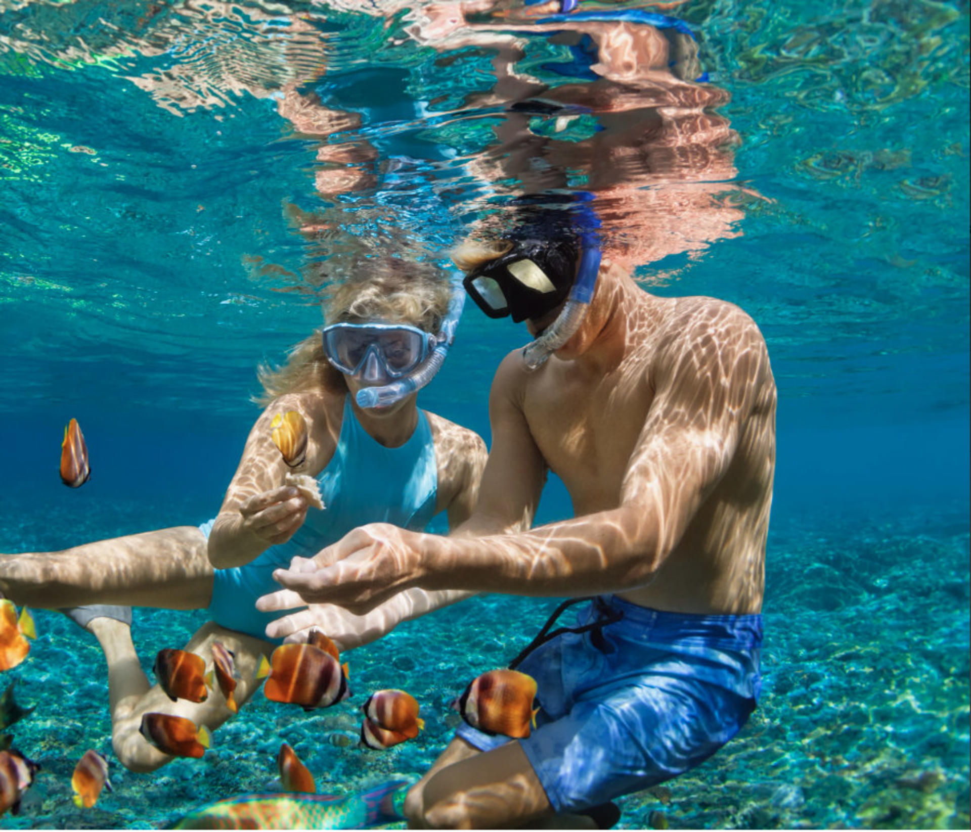 Da Nang Son Tra Peninsula Half-Day Snorkeling & Fishing Tour - Image 1