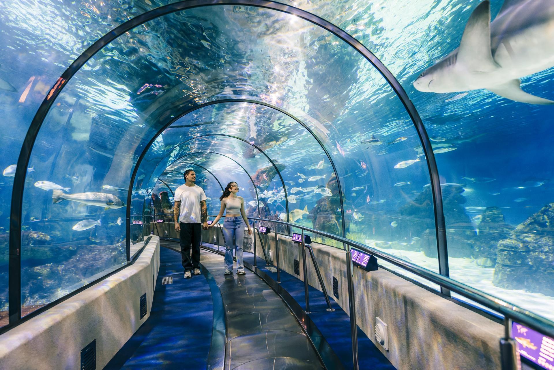 Barcelona Aquarium Ticket - Image 1