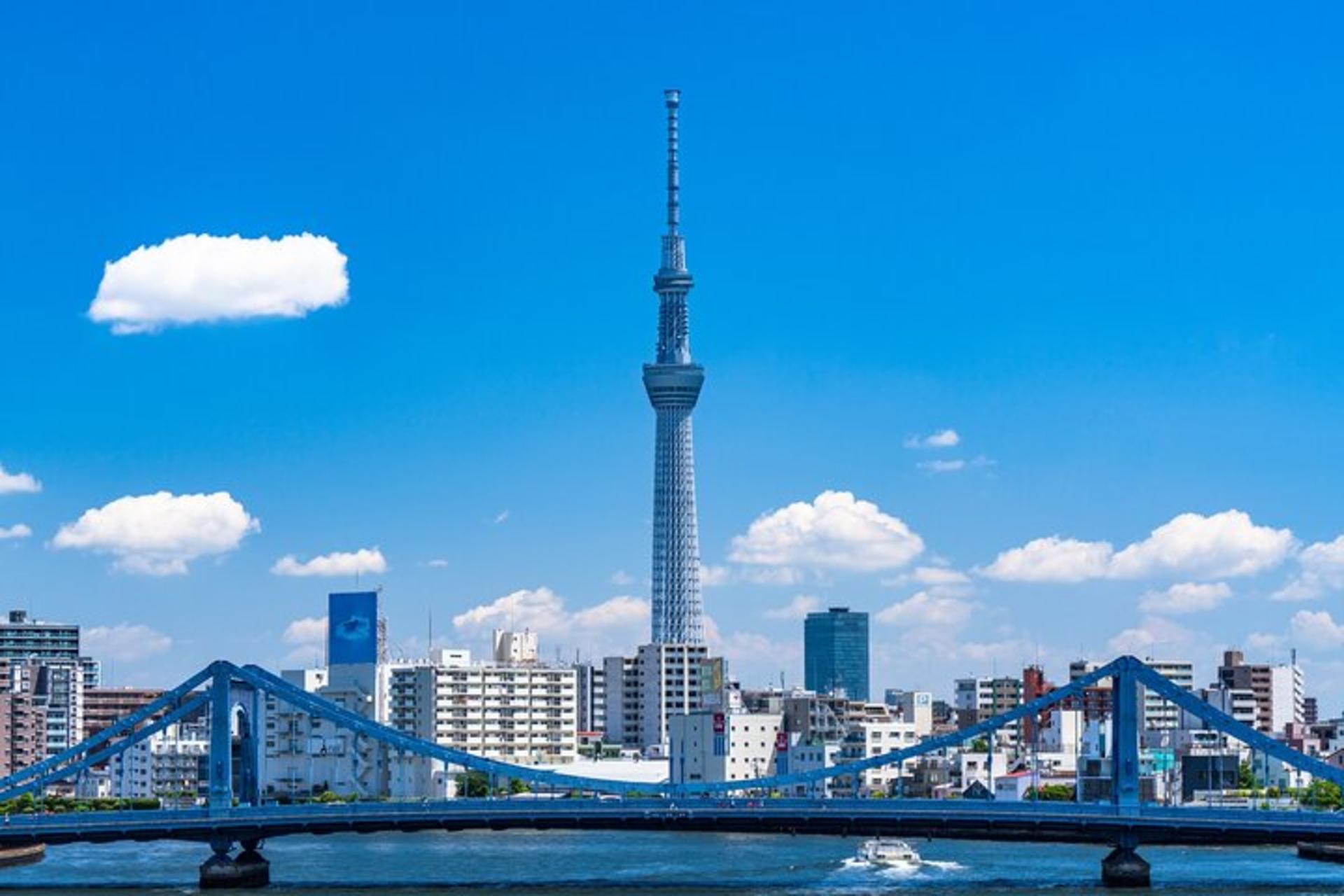 Tokyo: Historical Walking Tour of Skytree and Asakusa - Thumbnail 3