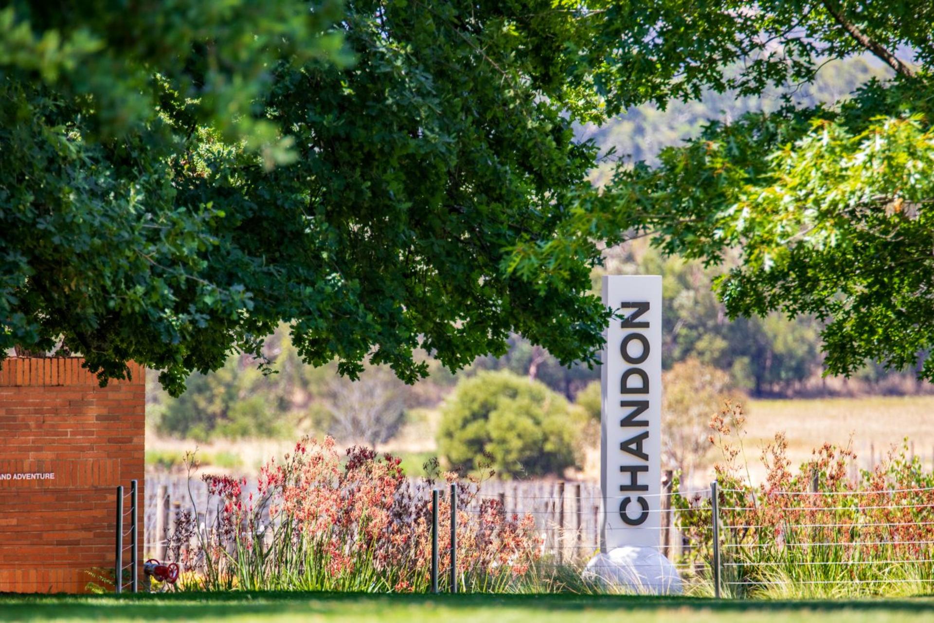 Yarra Valley Private One Day Tour - Thumbnail 5